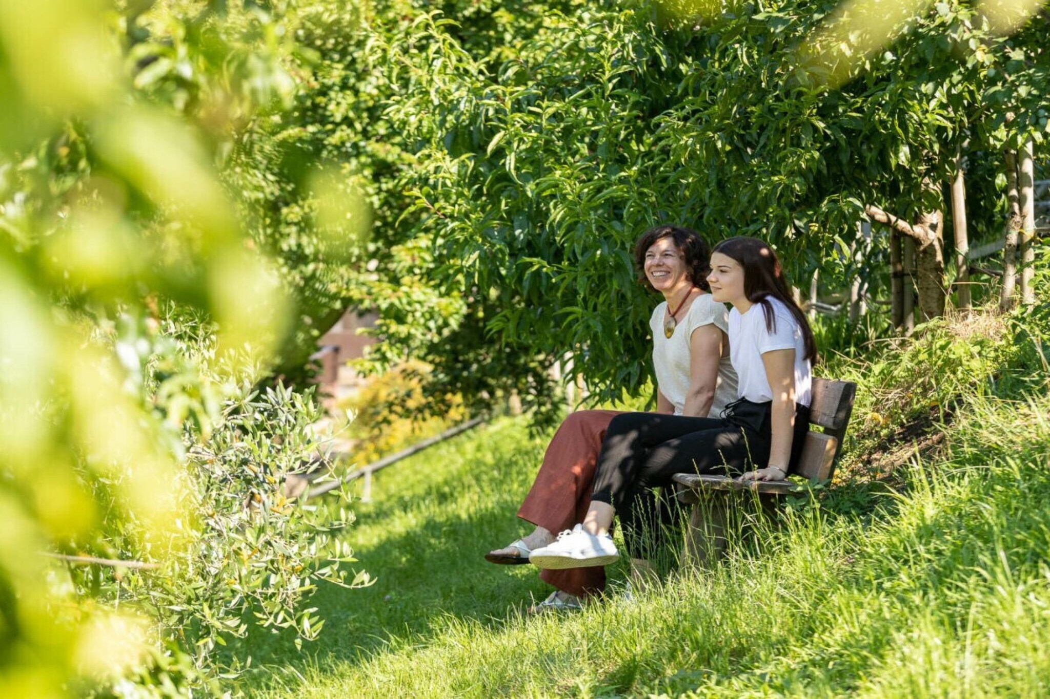 39803 - Gebiete Sommer 5 km