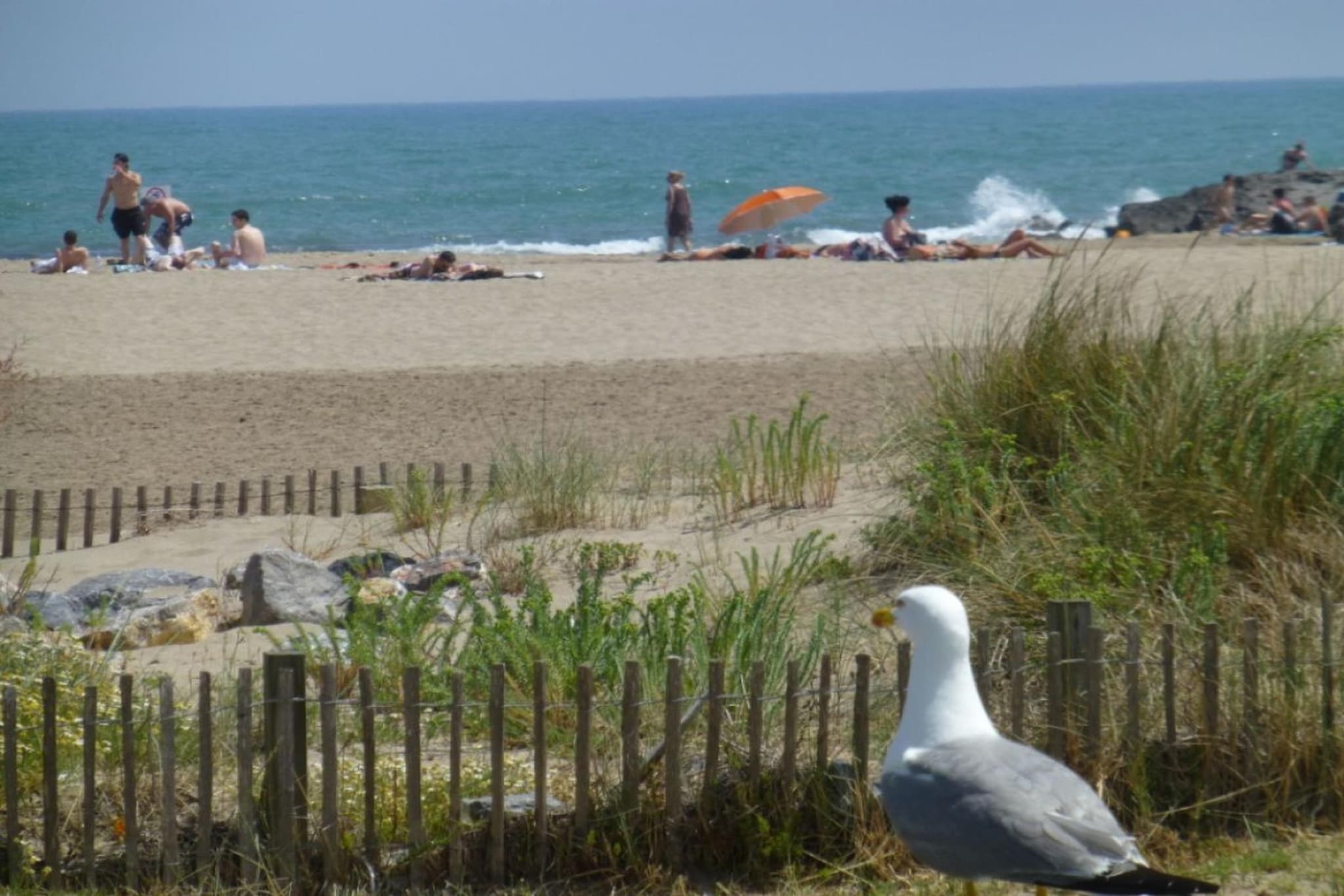 87758 - Gebiete Sommer 5 km