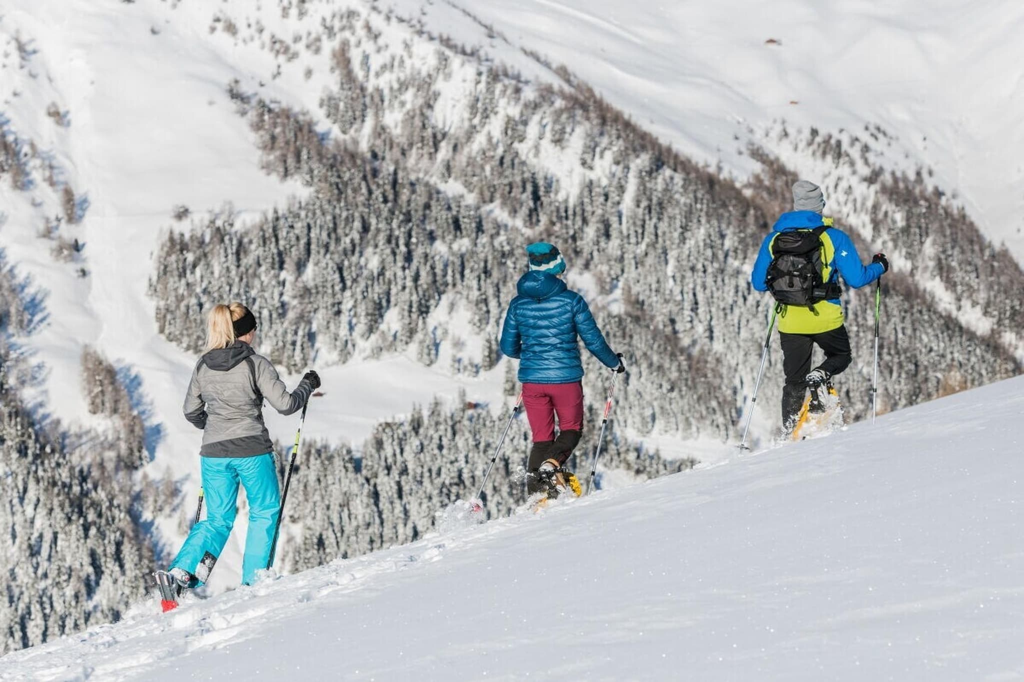 754209 - Gebied winter 5km