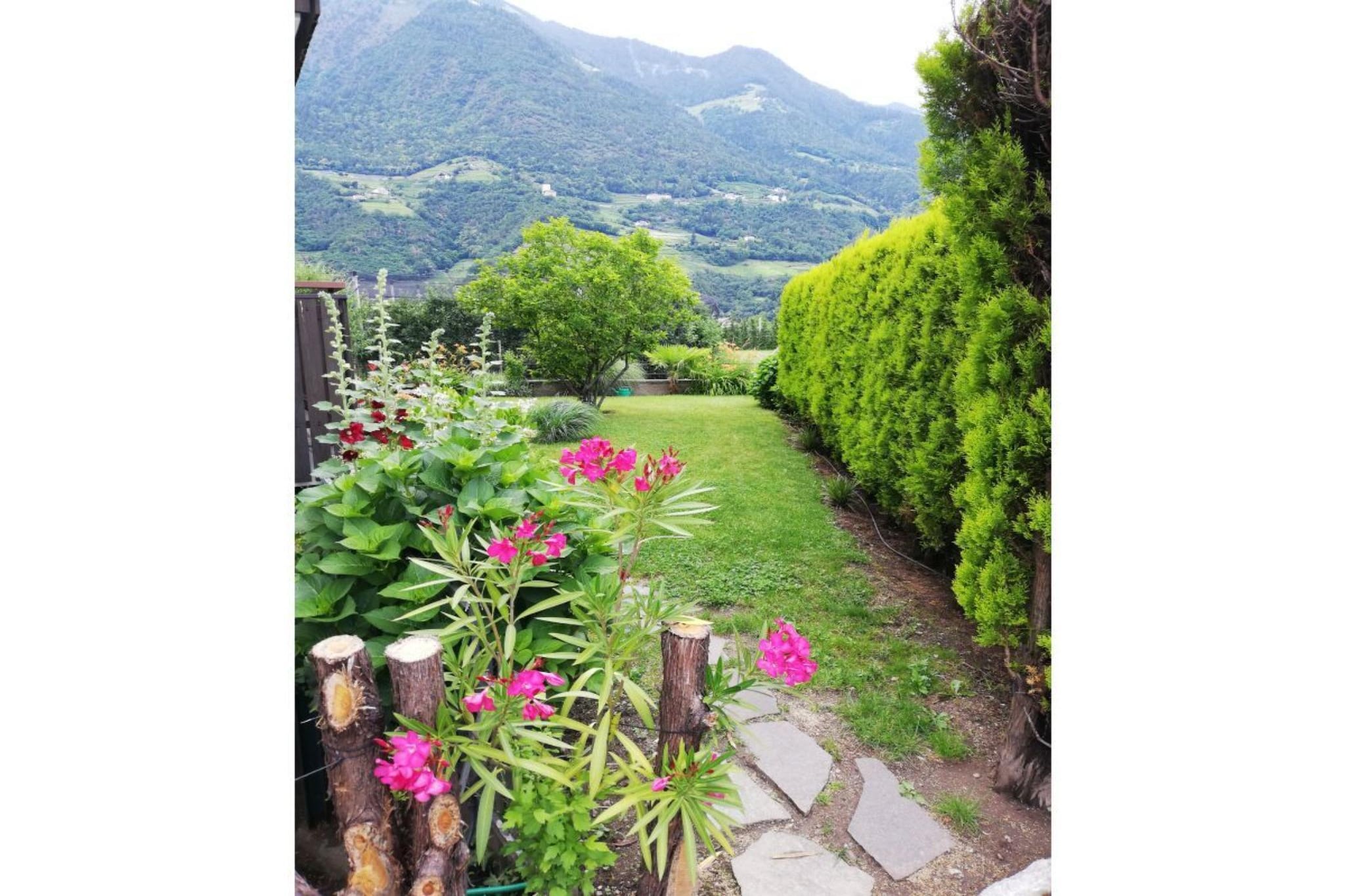 298877 - Garten Sommer