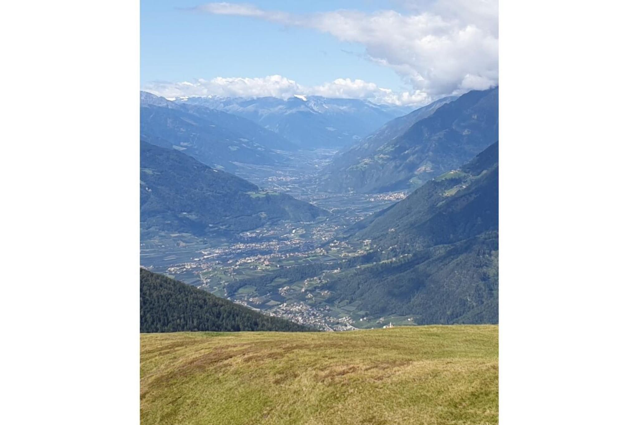 298877 - Gebiete Sommer 5 km