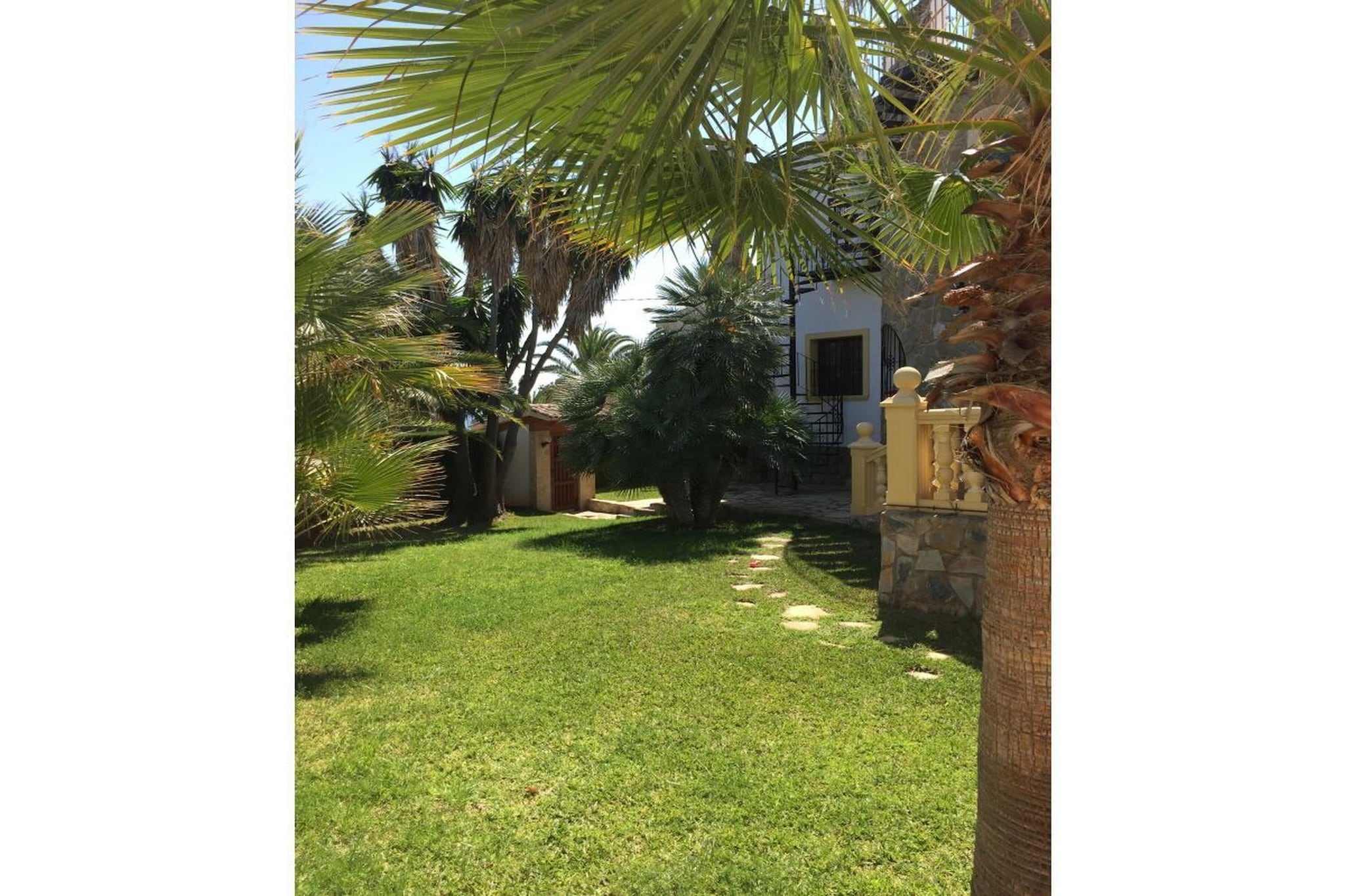 96304 - Gardens in summer