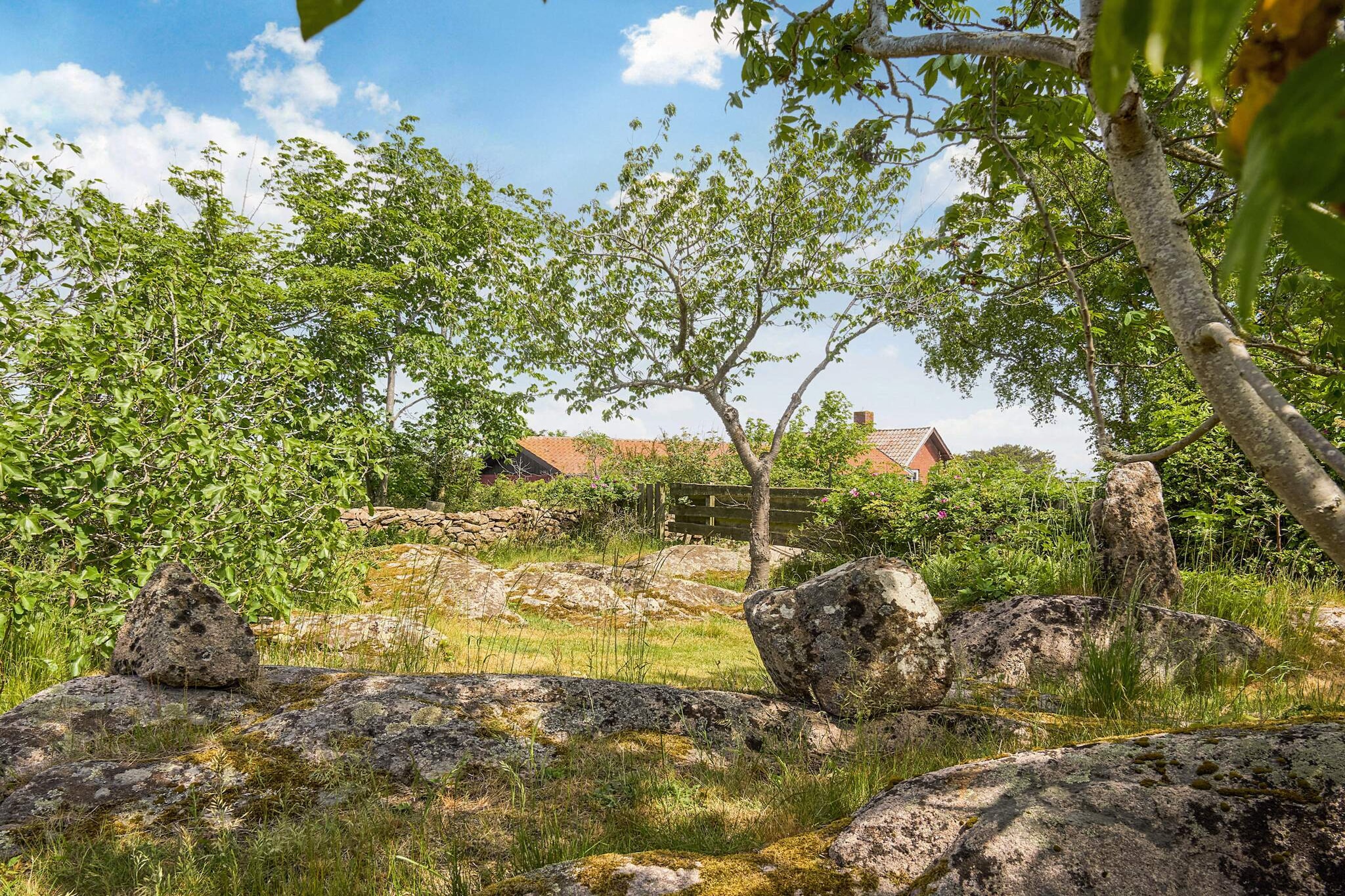 Maison de vacances pour 5 a Allinge - Vue