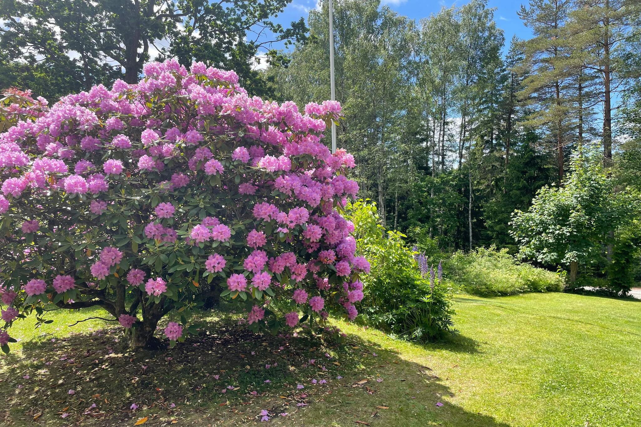 4 sterren vakantie huis in HINDÅS - Buitenlucht