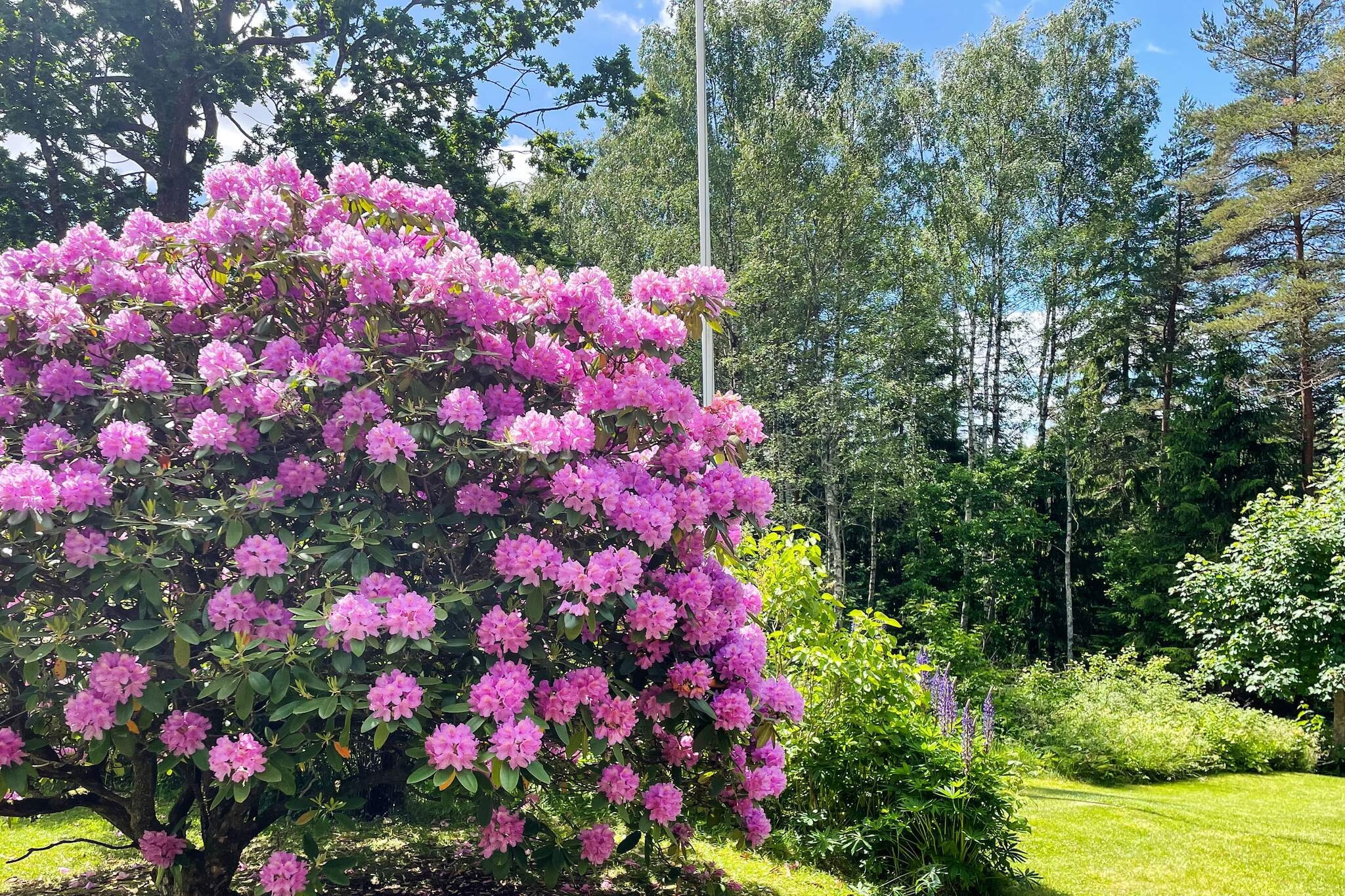 4 etoiles maison de vacances a HINDÅS - Extérieur