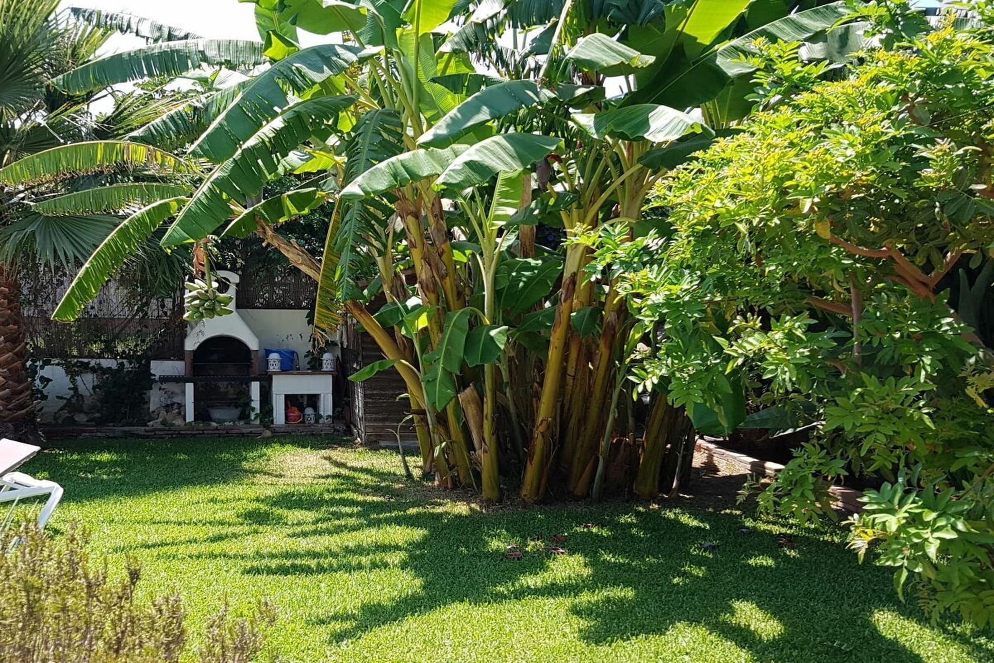 209516 - Gardens in summer