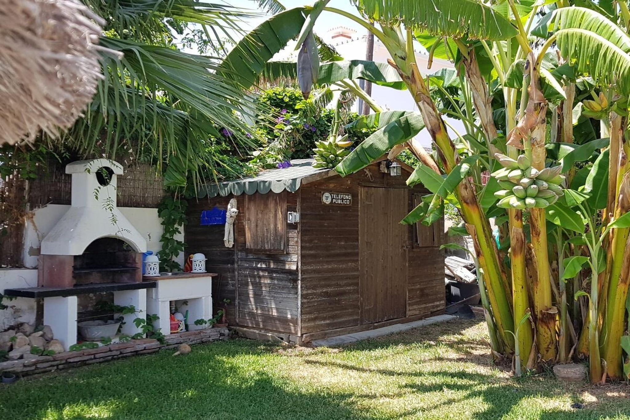 209516 - Gardens in summer