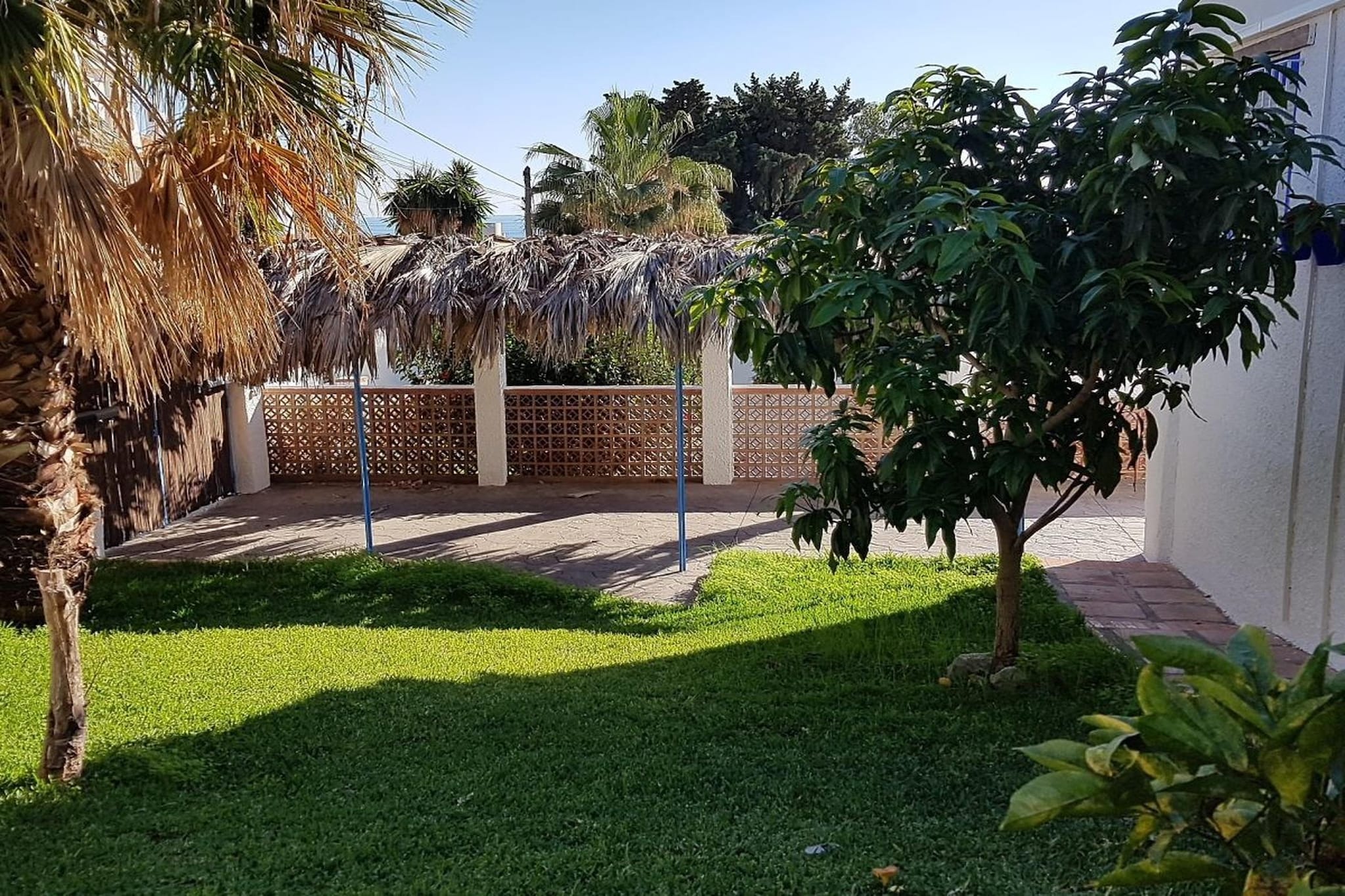 209516 - Gardens in summer