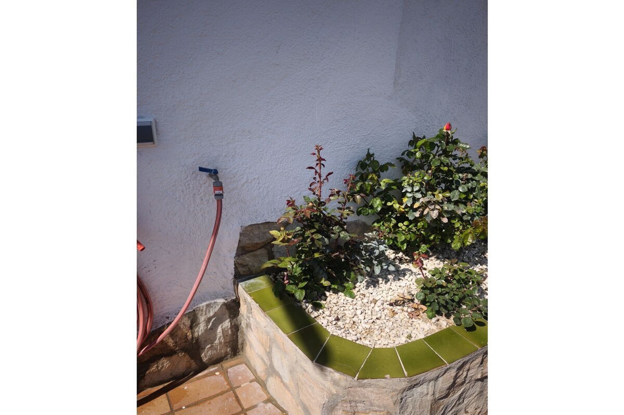 407643 - Gardens in summer