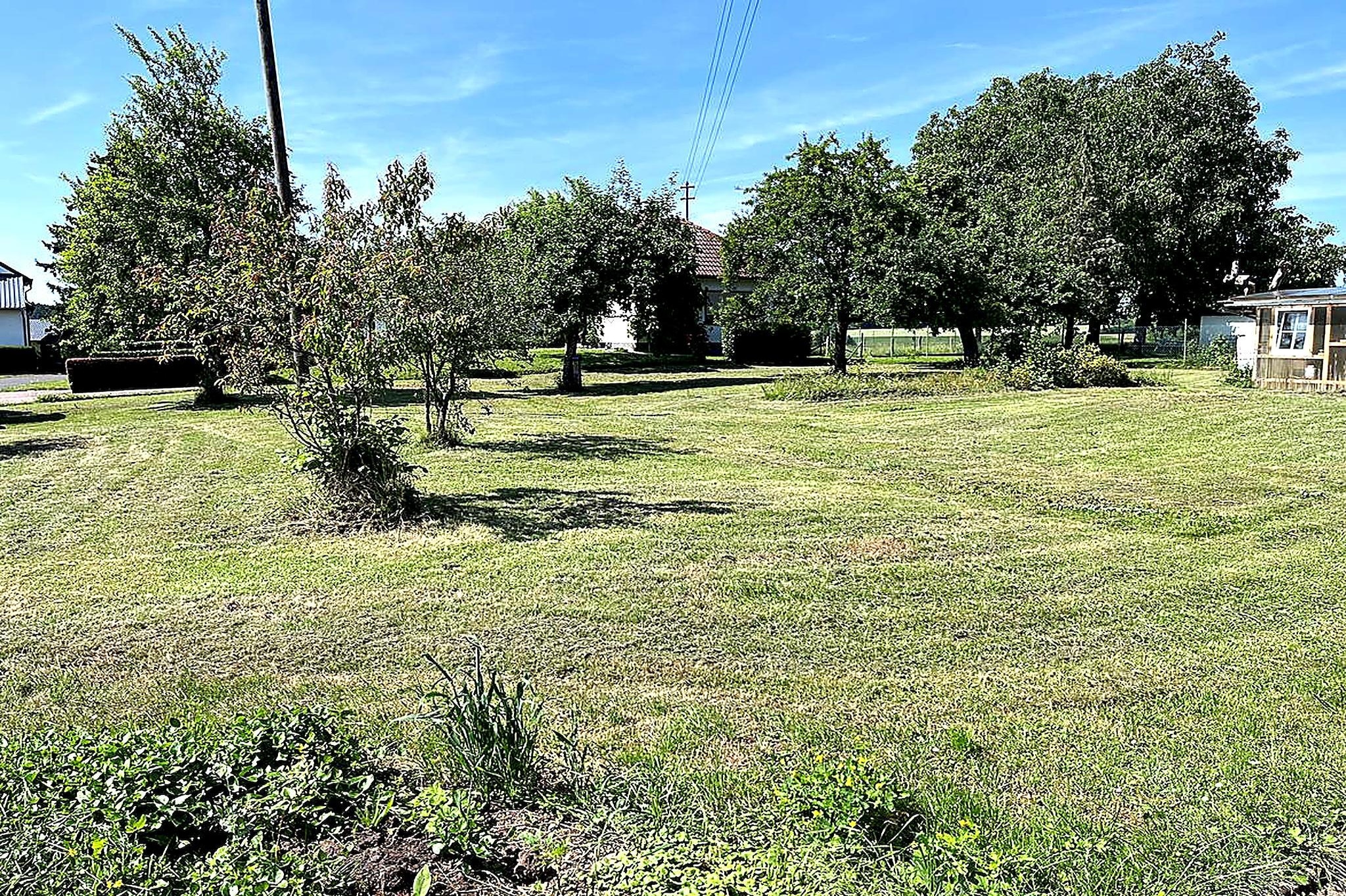 Familienhaus mit großer Wiese bei Bittburg - Tuinen zomer