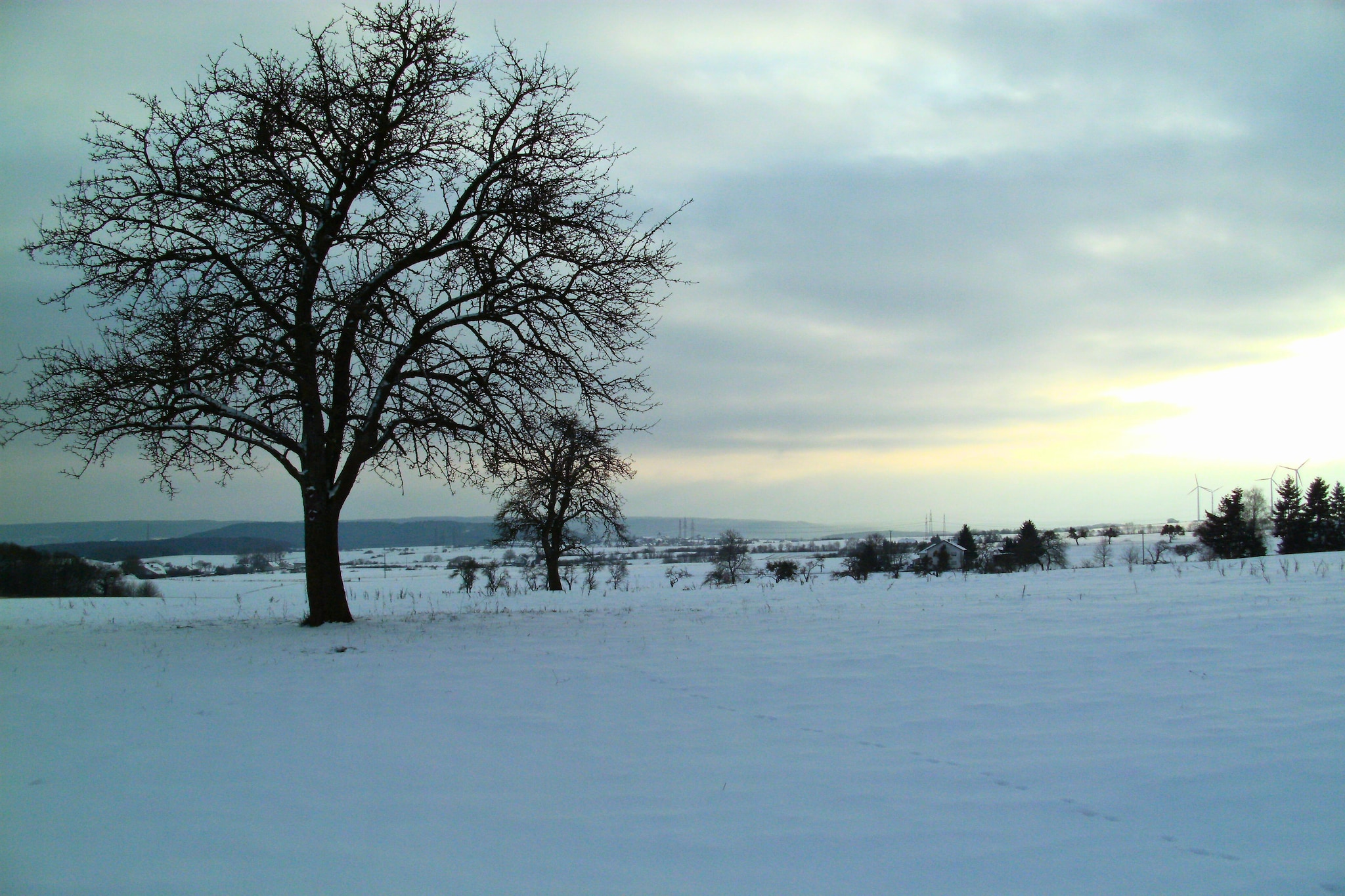 Familienhaus mit großer Wiese bei Bittburg - Gebied winter 5km