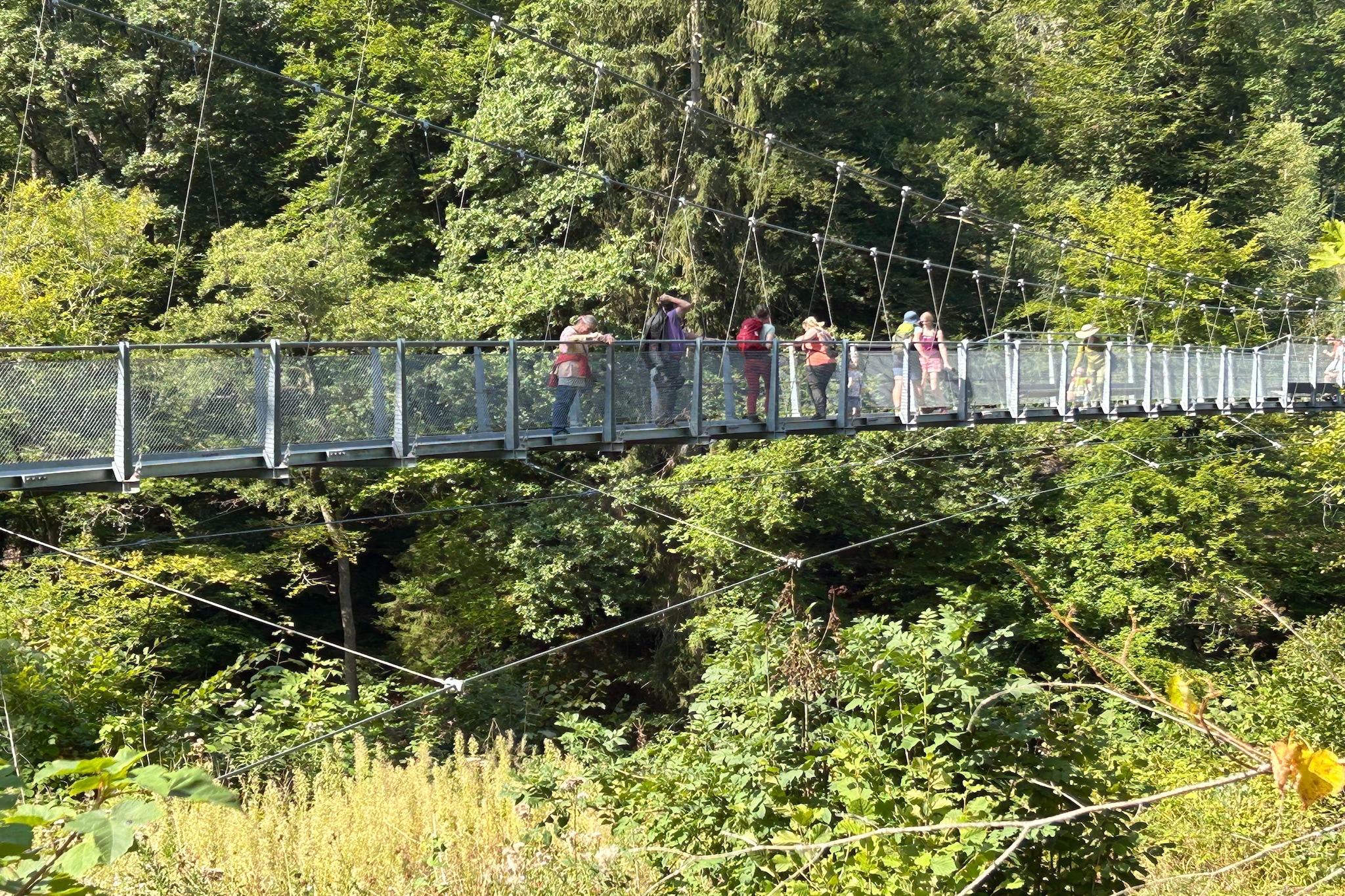 Familienhaus mit großer Wiese bei Bittburg - Gebieden zomer 20km