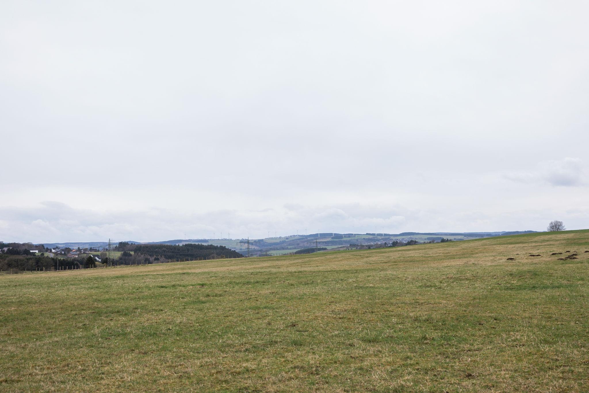 Familienhaus mit großer Wiese bei Bittburg - Gebieden zomer 20km