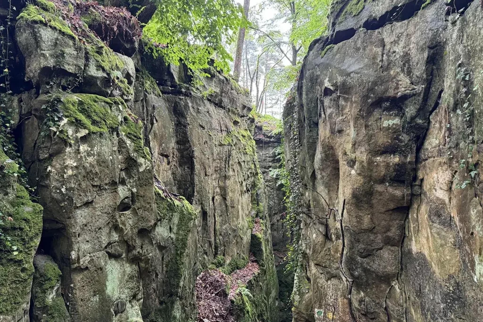 Familienhaus mit großer Wiese bei Bittburg - Gebieden zomer 20km