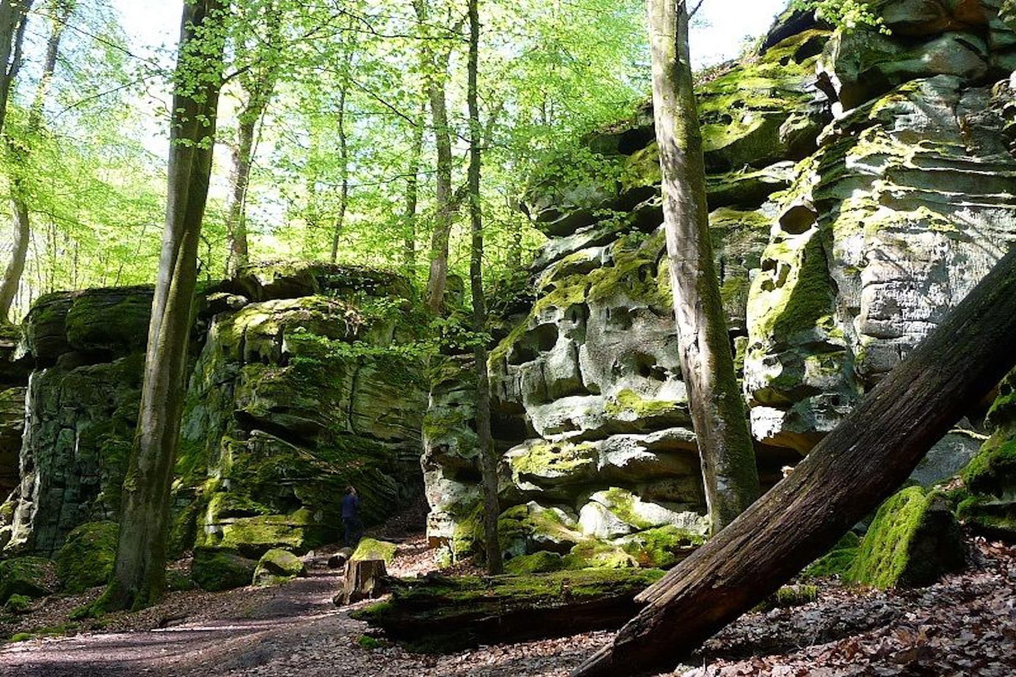 Familienhaus mit großer Wiese bei Bittburg - Gebieden zomer 20km