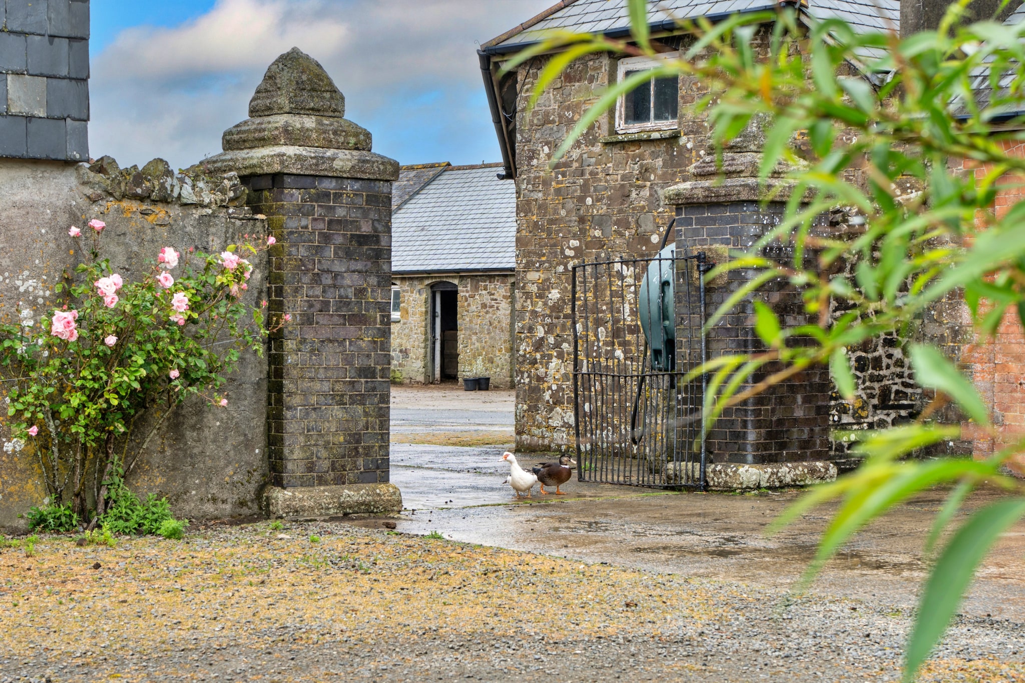 Barn, Quinceborough Farm - Buitenkant zomer