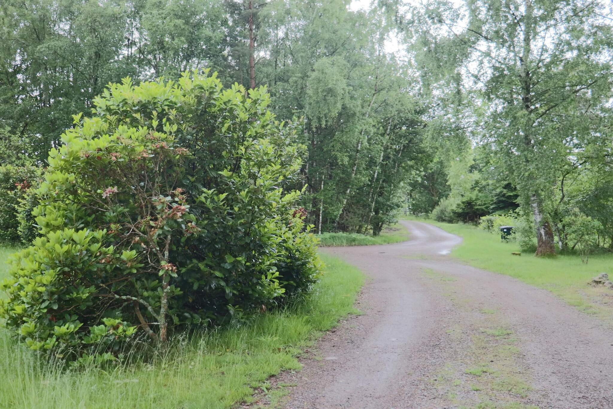 4 Sterne Ferienhaus in ÖRKELLJUNGA - Im Freien