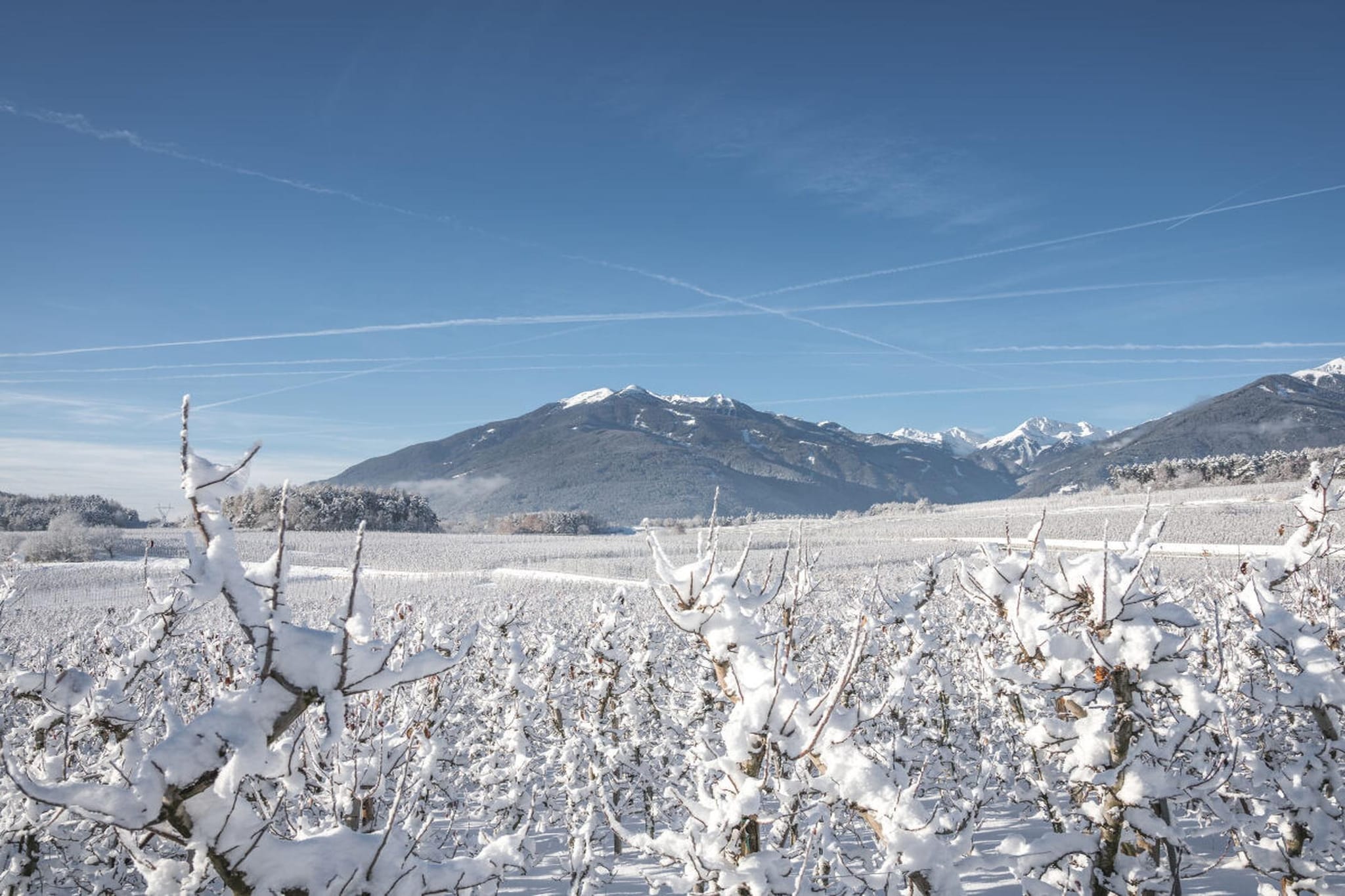 475989 - Gebied winter 5km