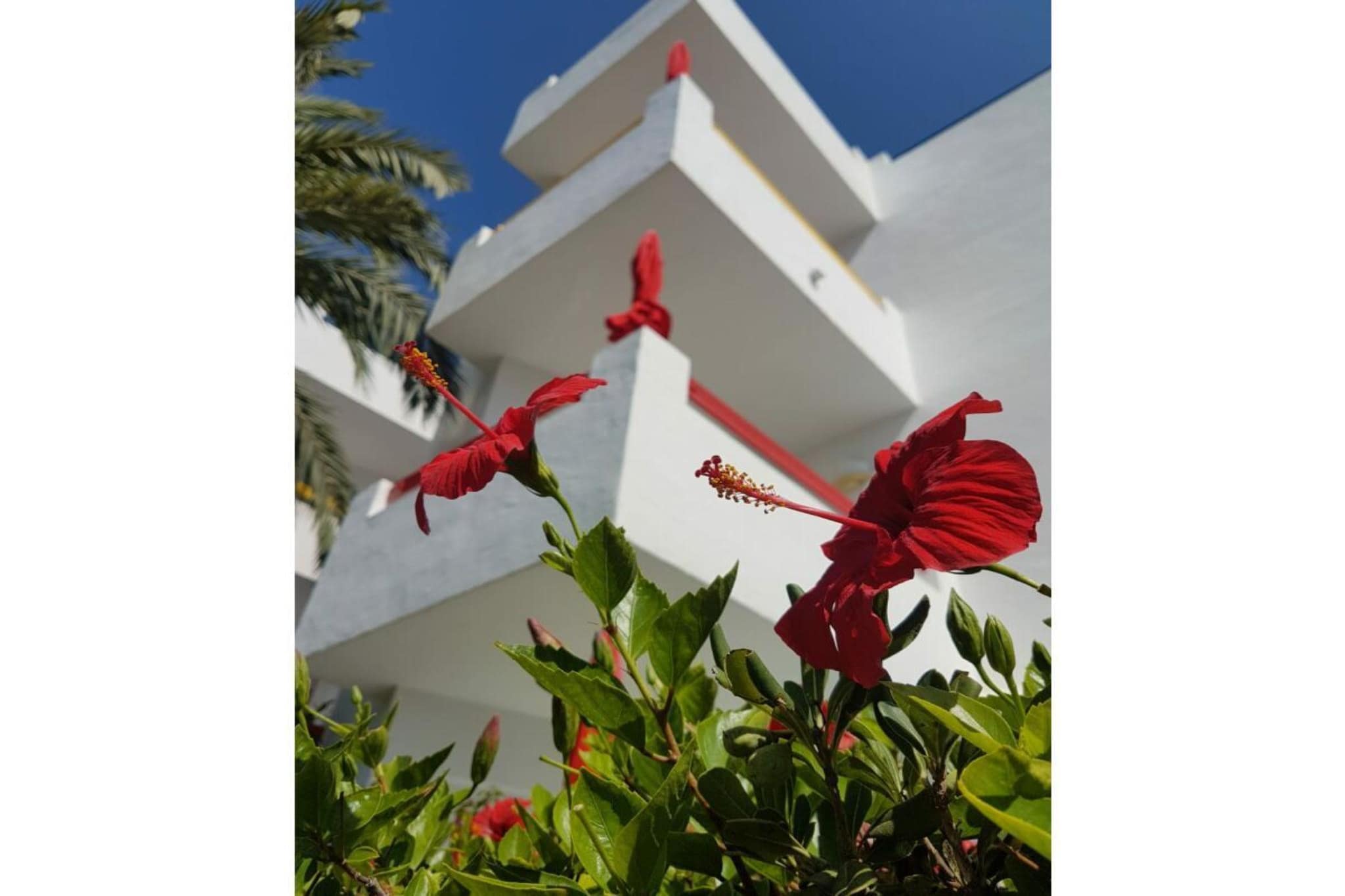 229439 - Exterior in summer
