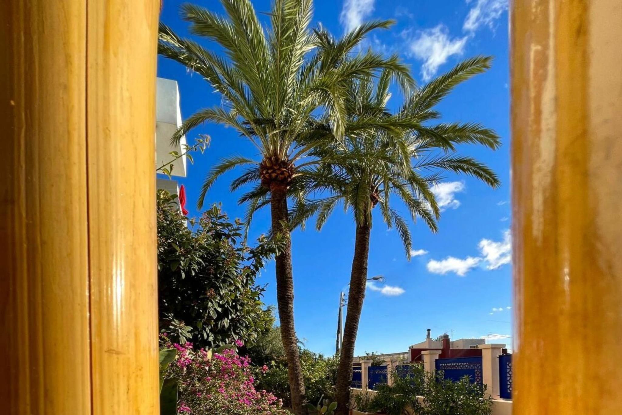229439 - View in summer