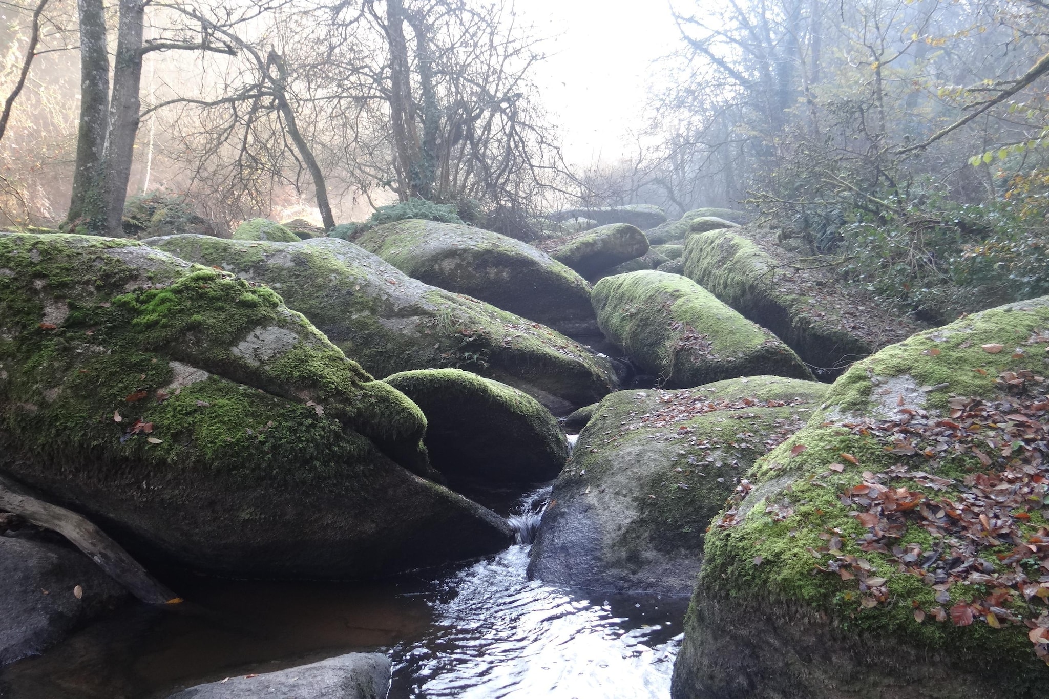 Maison de campagne Centre Bretagne 2 animaux admis - Gebiete Sommer 20 km