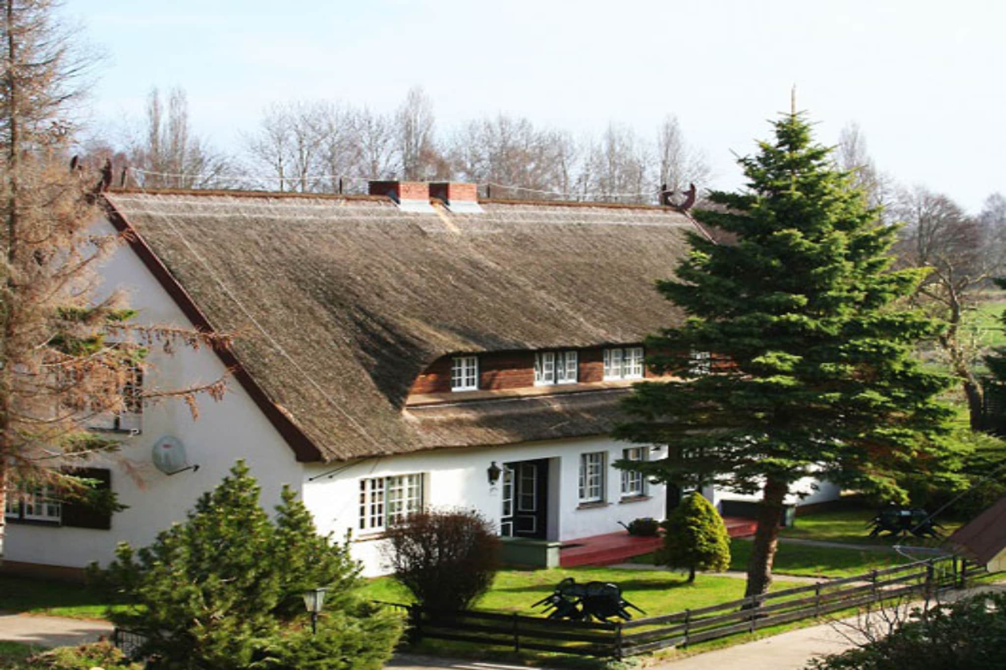 Fewo in Damerow