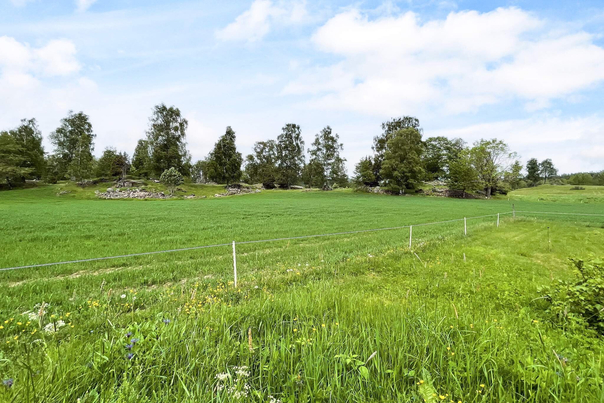4 Personen vakantie huis in ANEBY - Buitenlucht