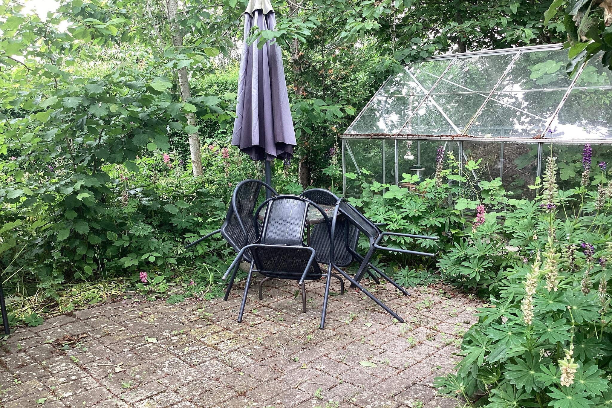 6 Personen vakantie huis in Bandholm - Buitenlucht