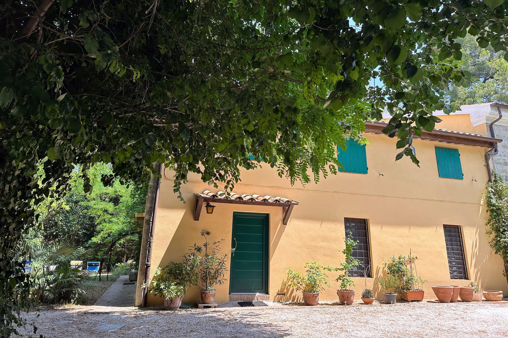 Exterior Summer