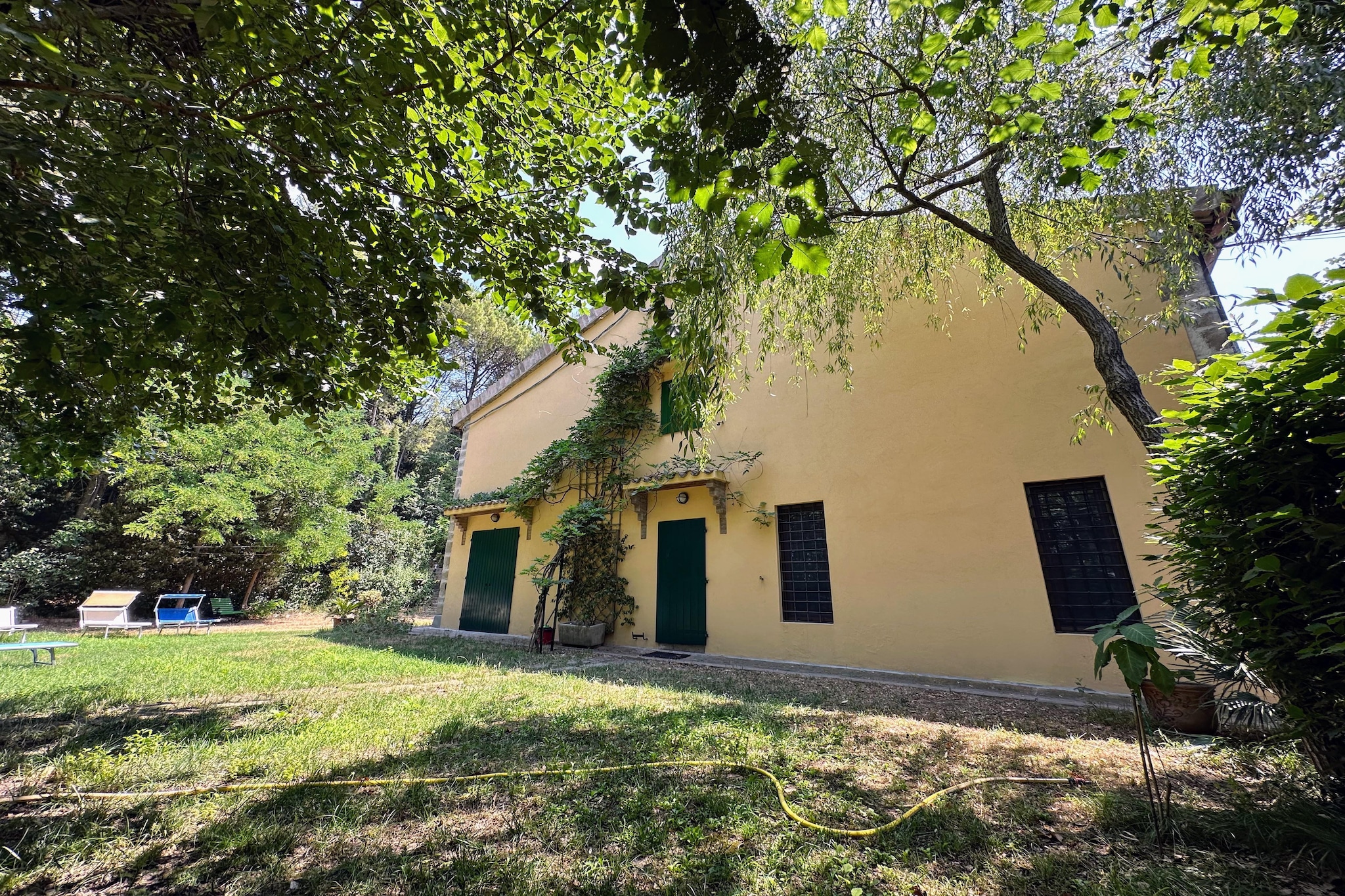 Exterior Summer