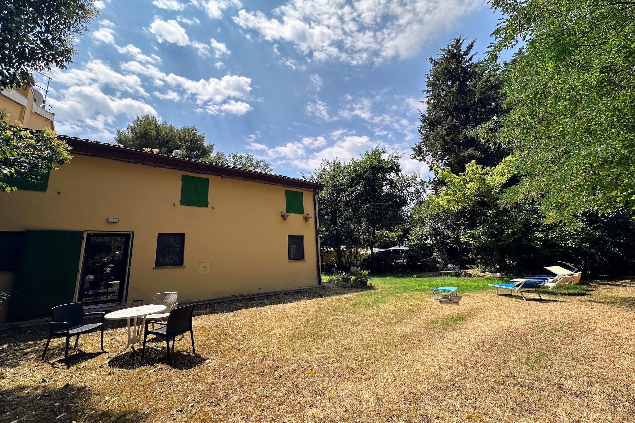Garden Summer
