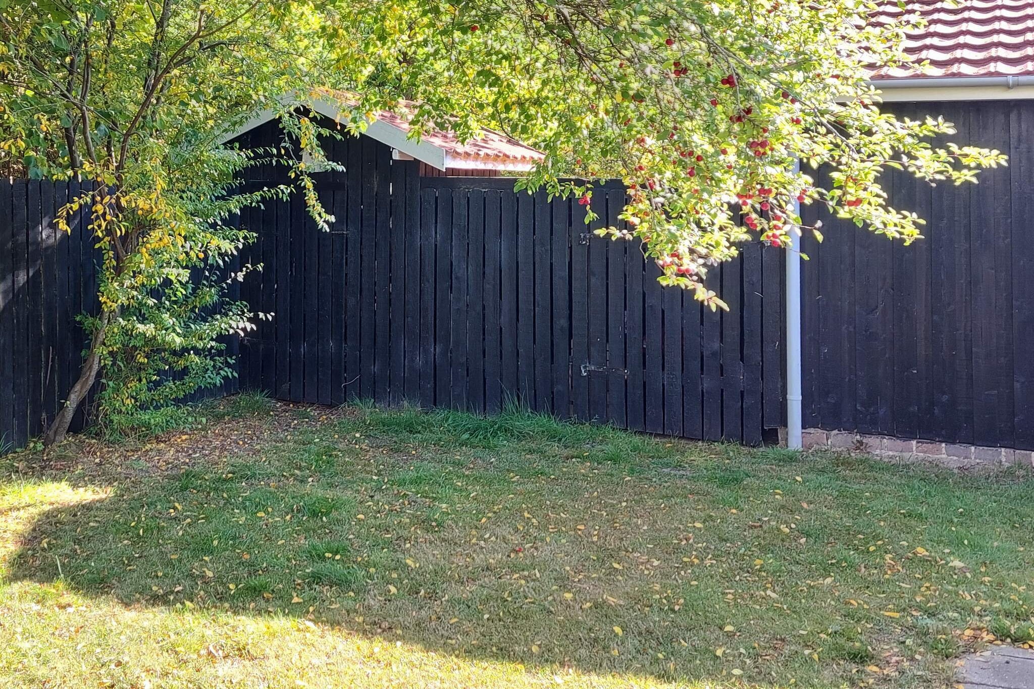4 person holiday home in Brovst - Outdoor