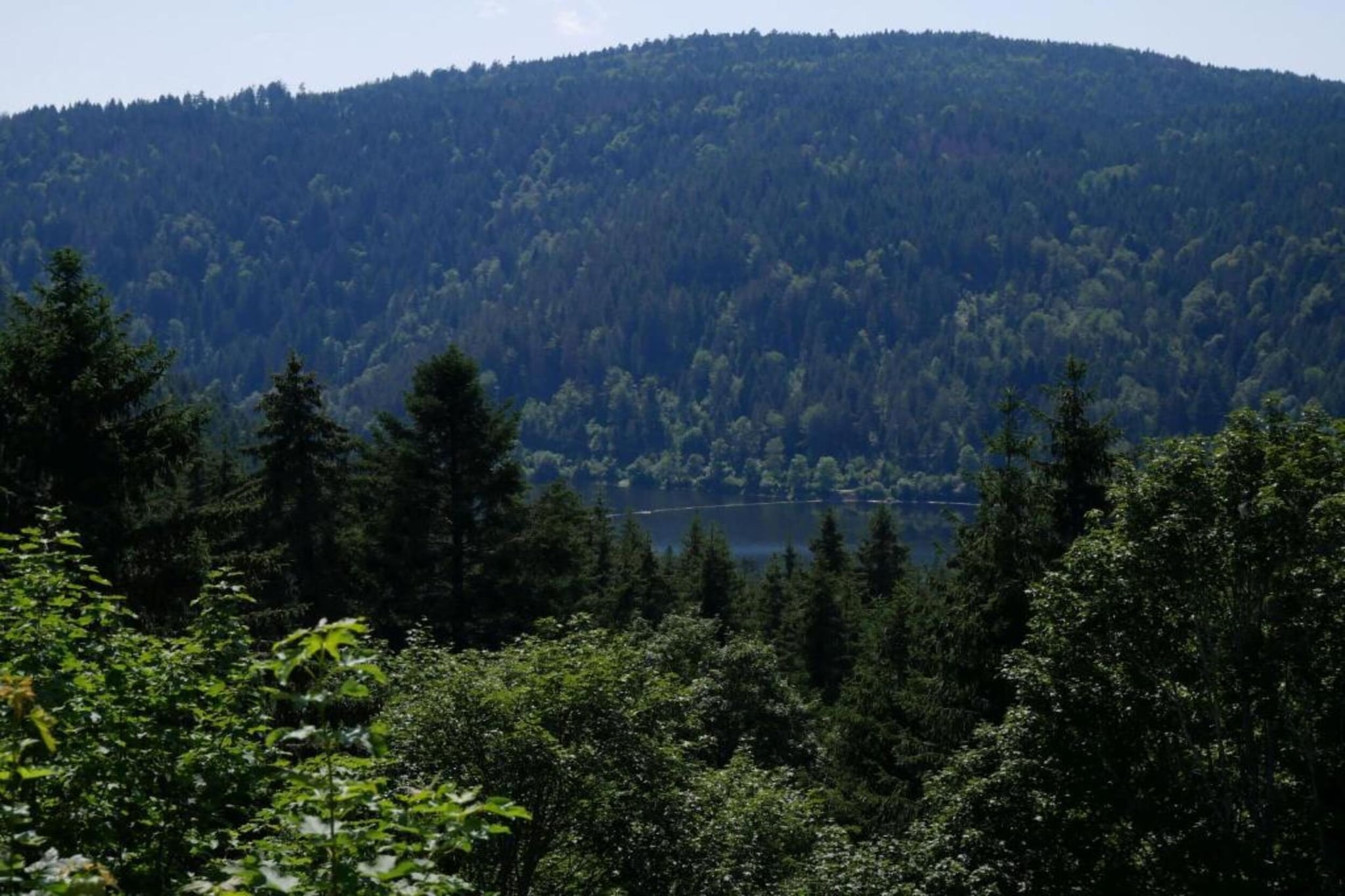 Pferdeklause-Gebieden zomer 20km