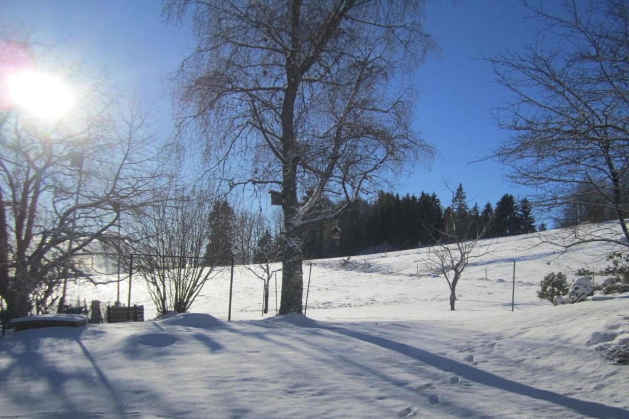 Pferdeklause-Gebied winter 20km