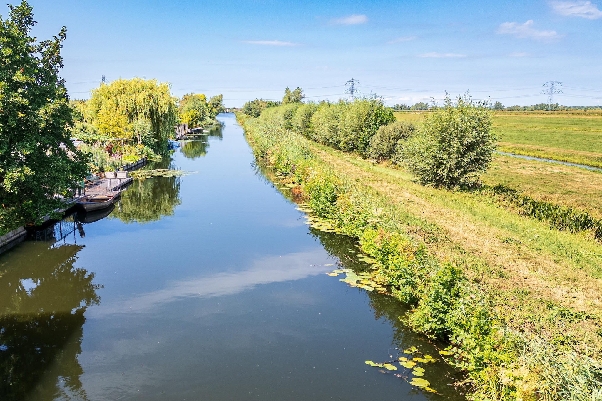De Waterlelie - Areas within 1km in summer