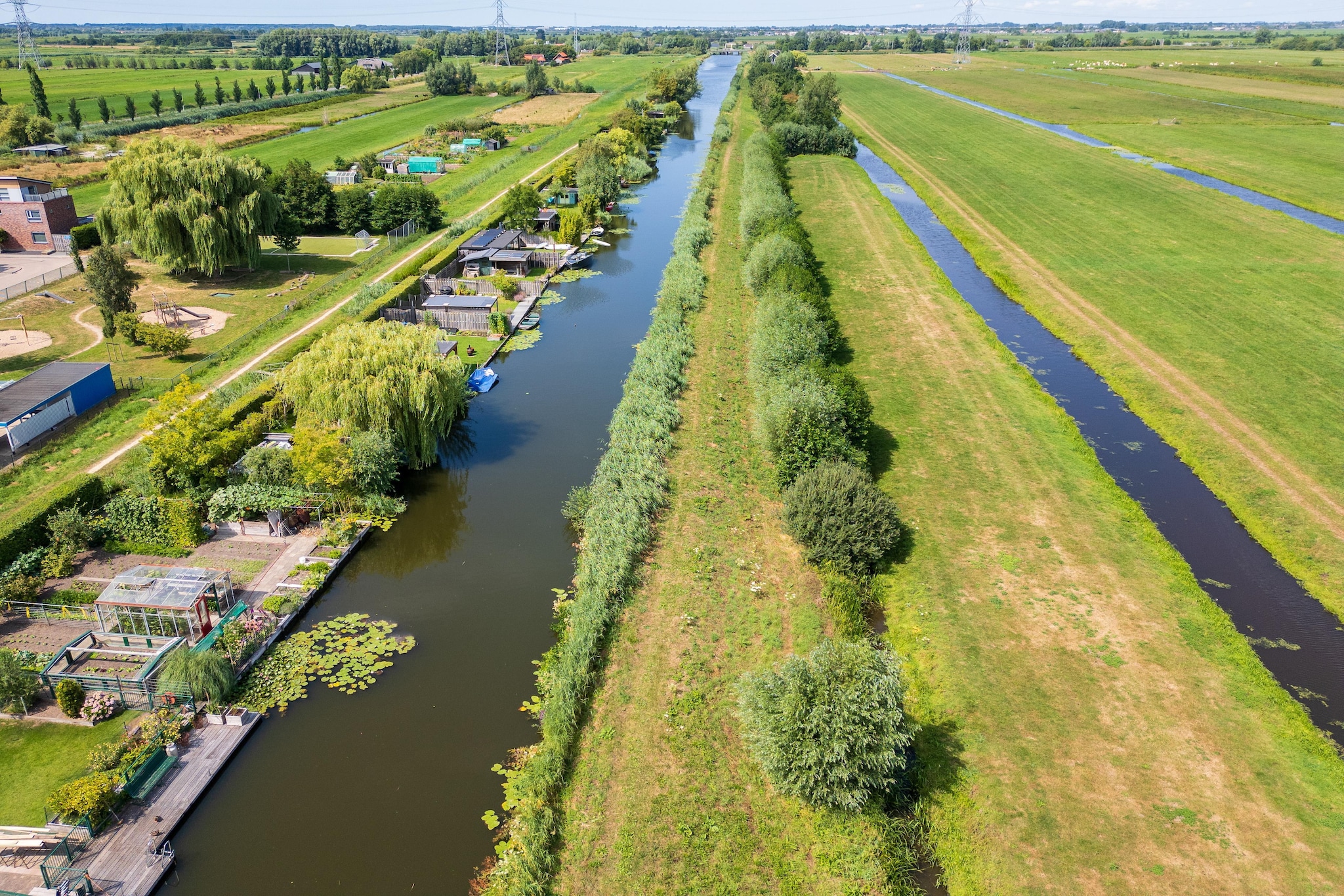 De Waterlelie - Areas within 1km in summer