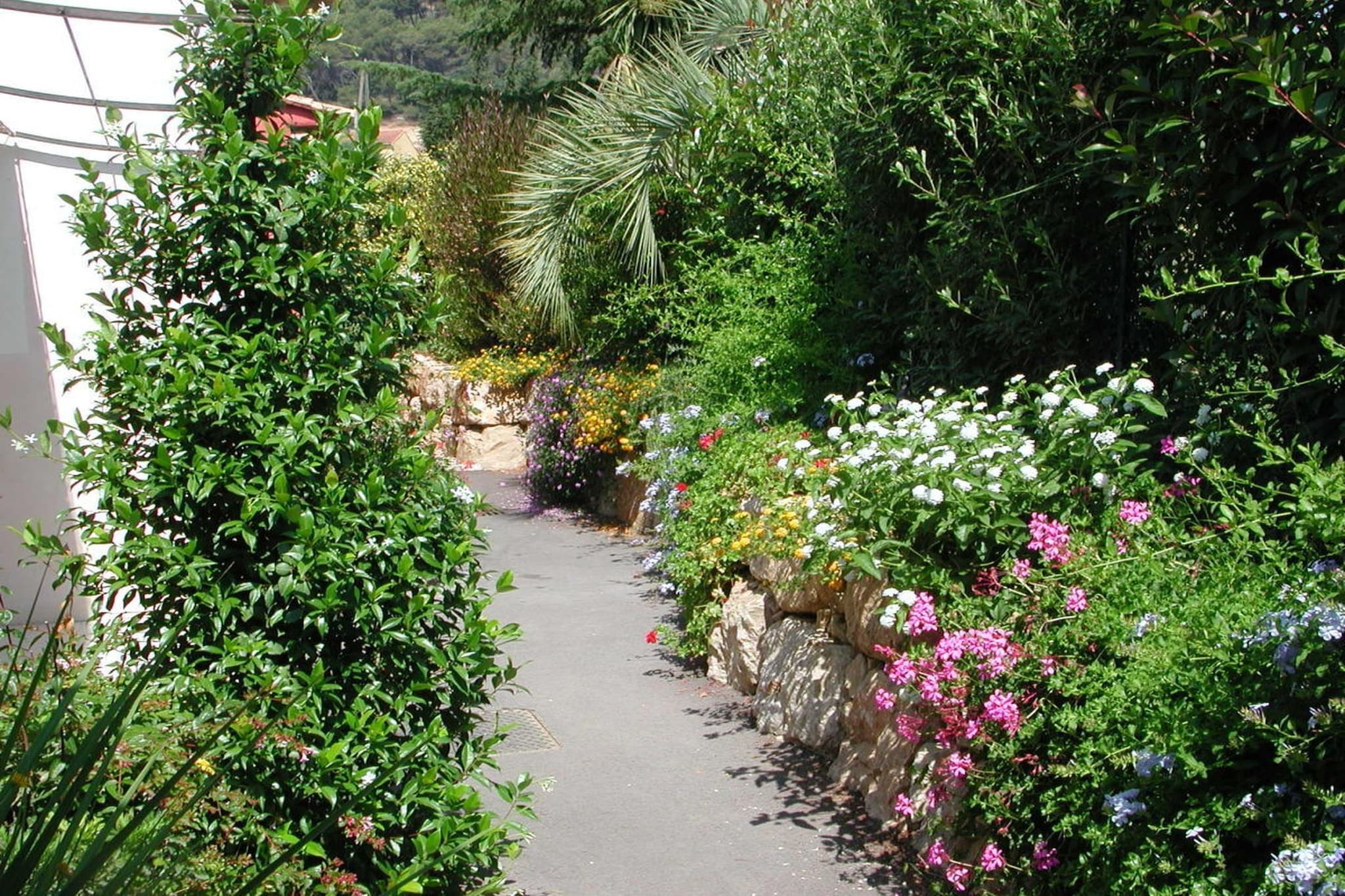 2346 - Jardins en été