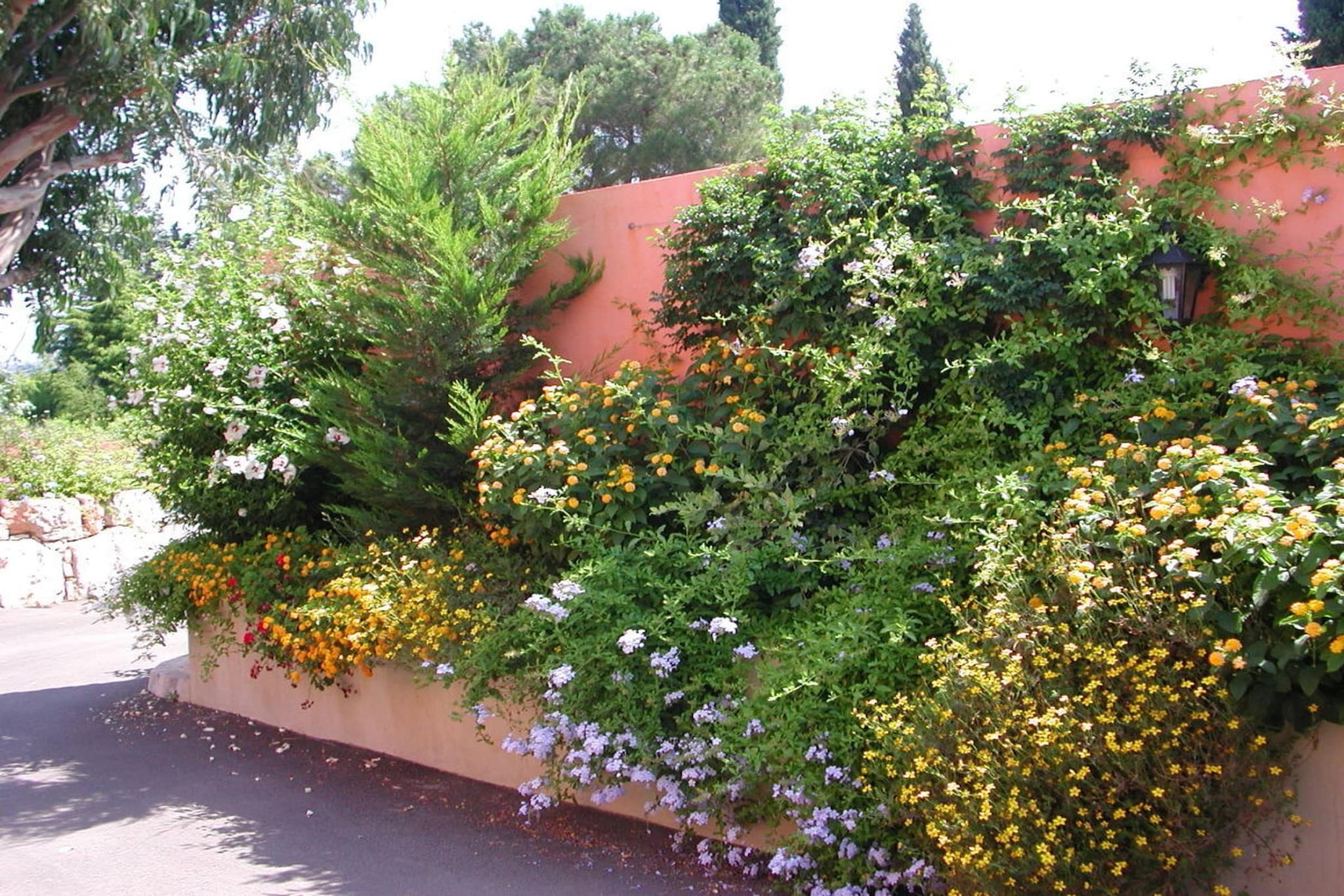 2346 - Jardins en été