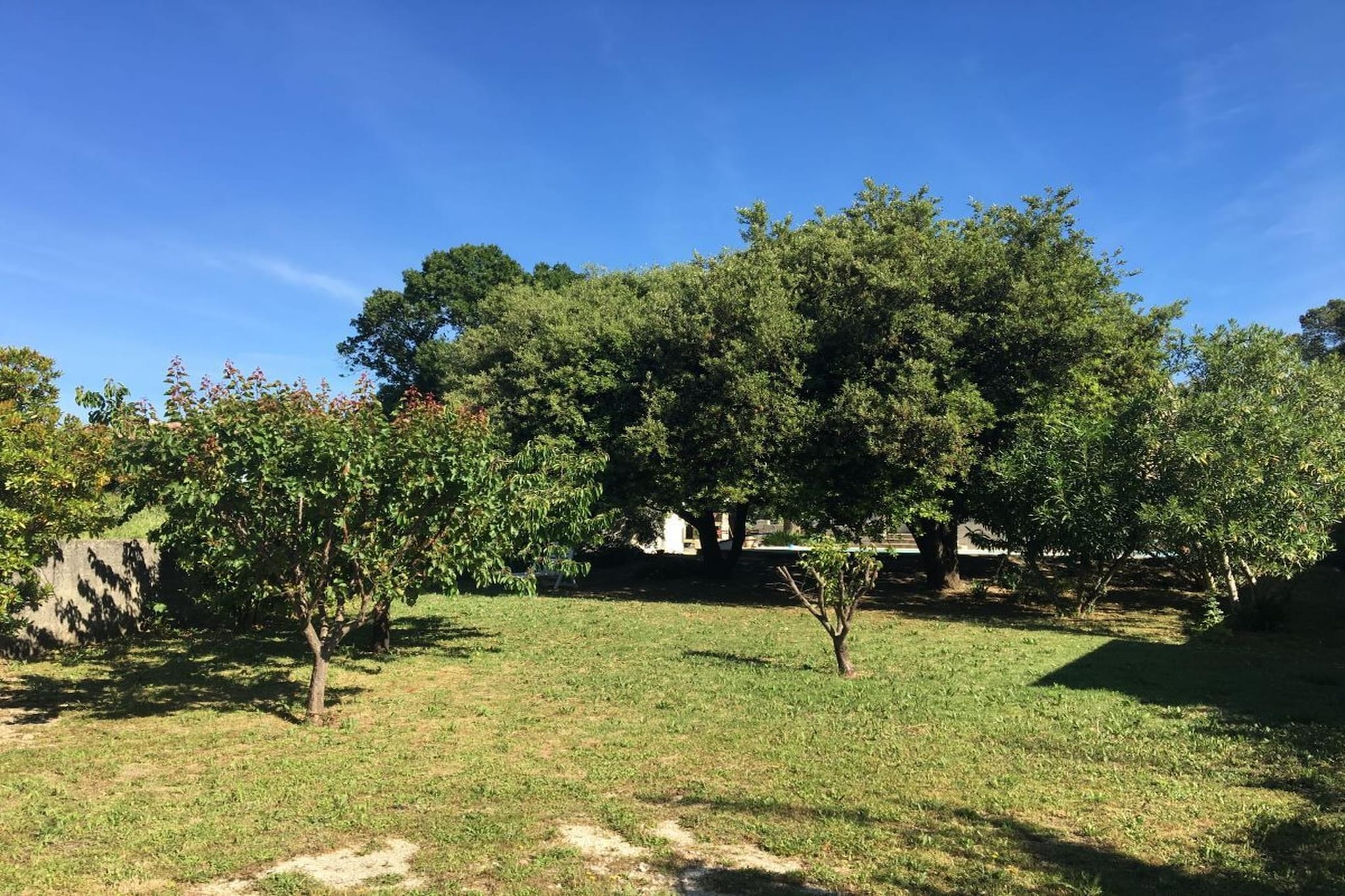 273542 - Garten Sommer