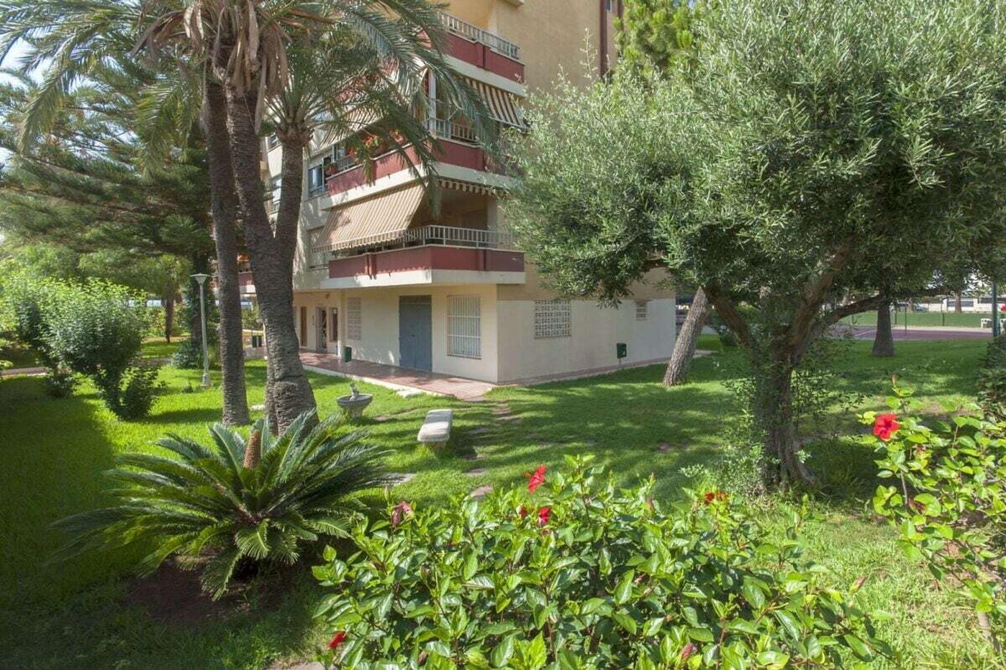 599472 - Jardins en été