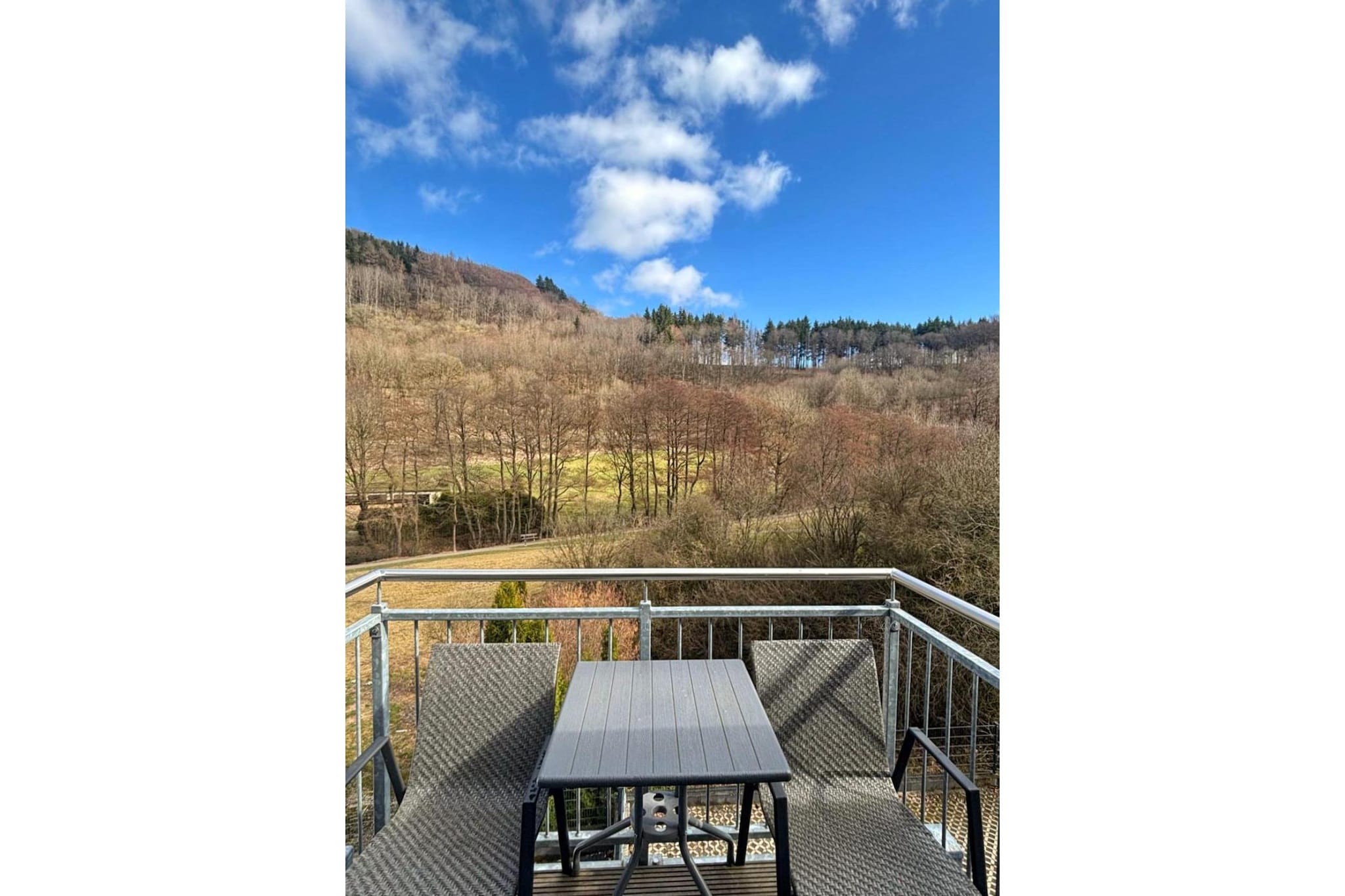 Fewo Prinz - Terrace balcony