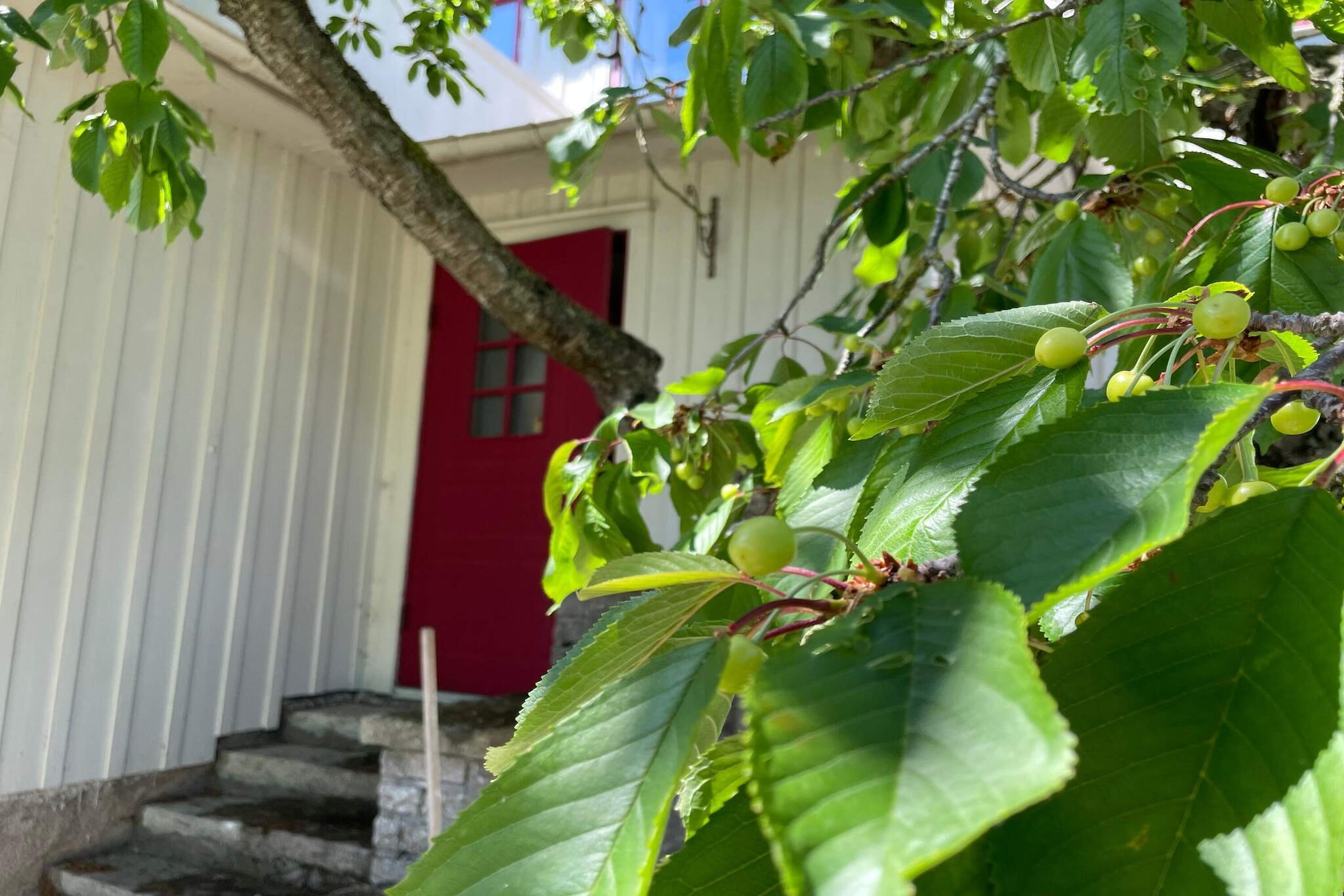 8 Personen vakantie huis in MÖRBYLÅNGA - Buitenlucht