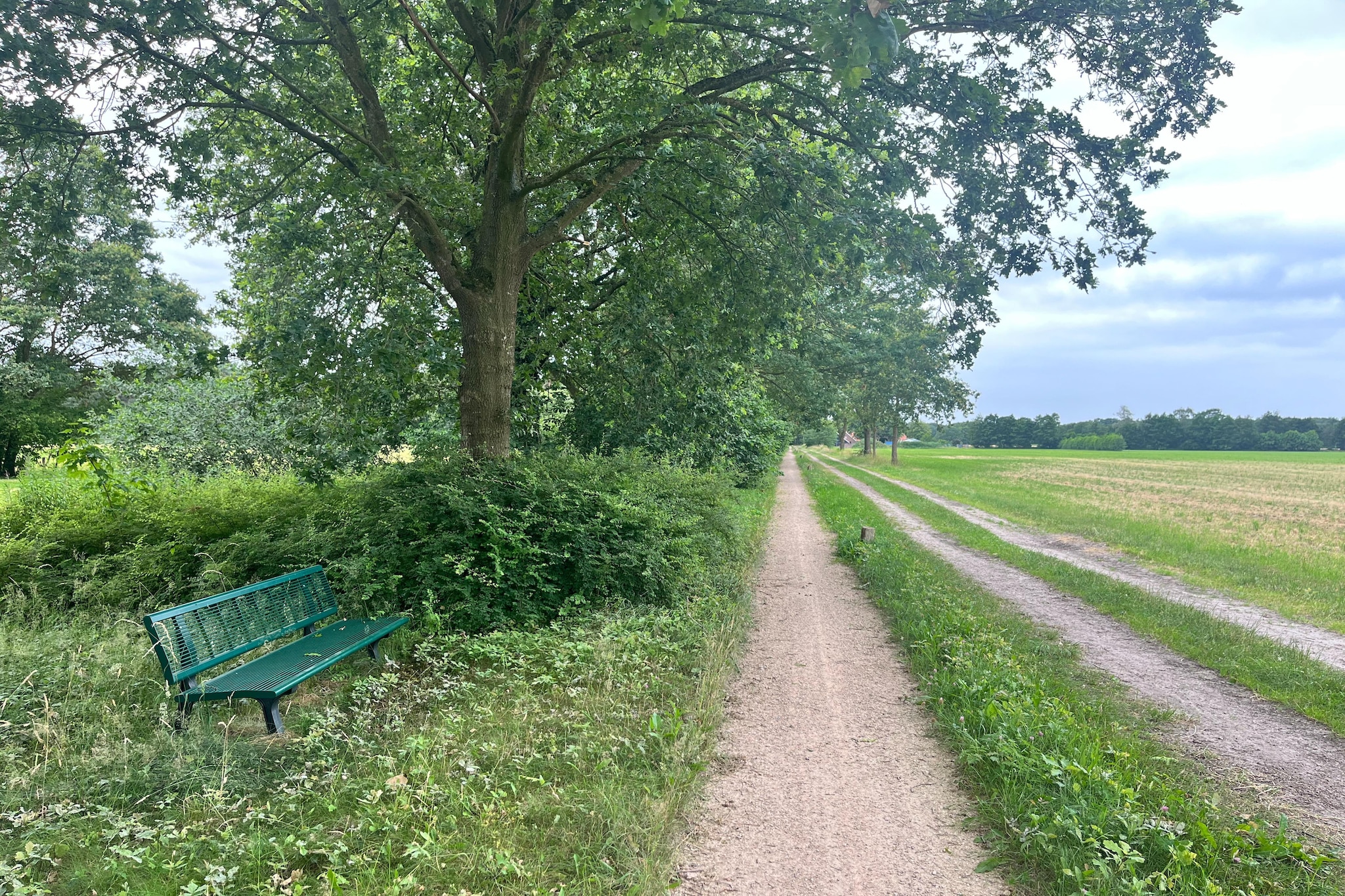 Gastenverblijf Langelshoes - Gebieden zomer 1km