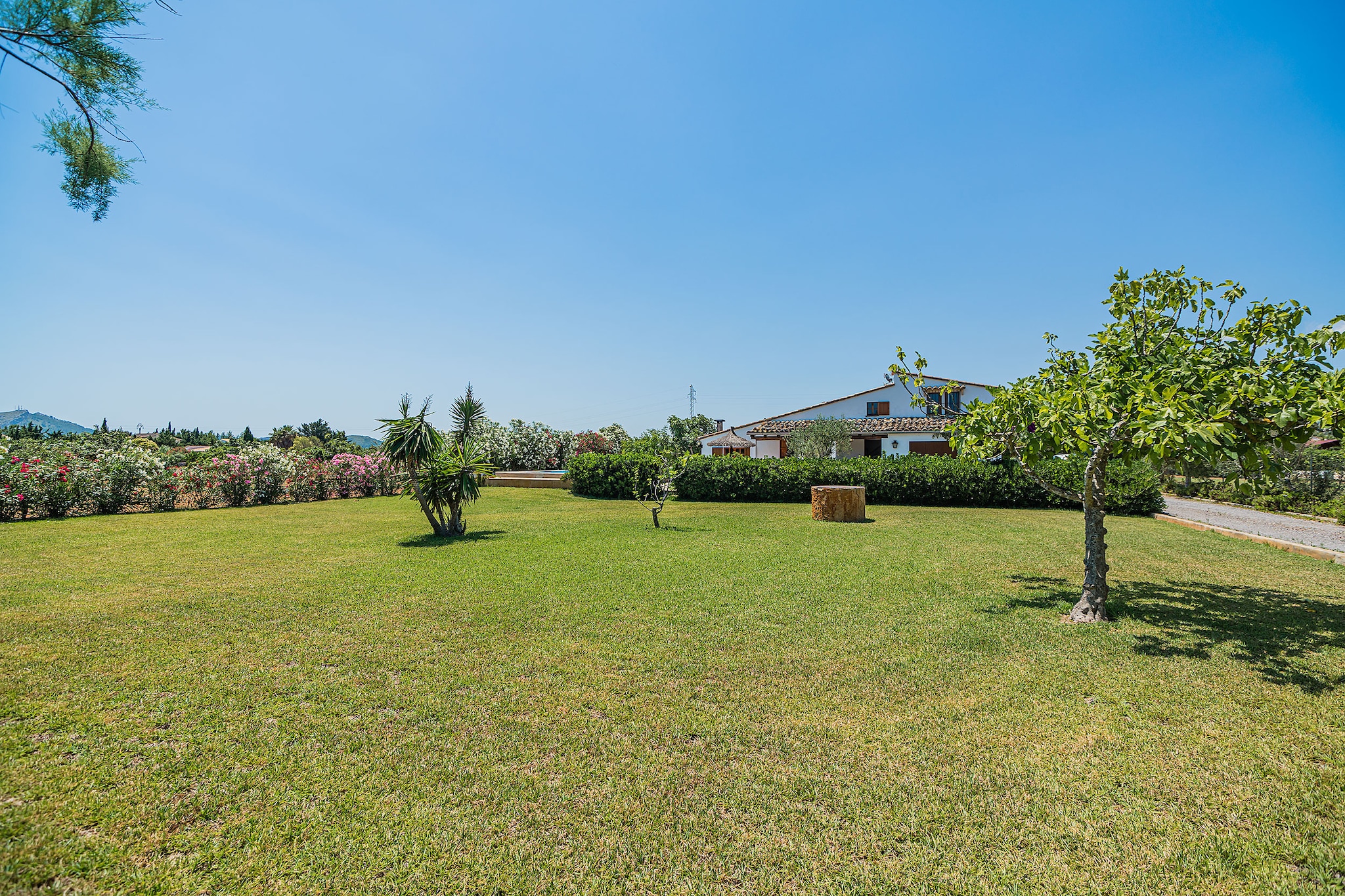 CAN FERRAGUT ref. VP07 - Garten Sommer