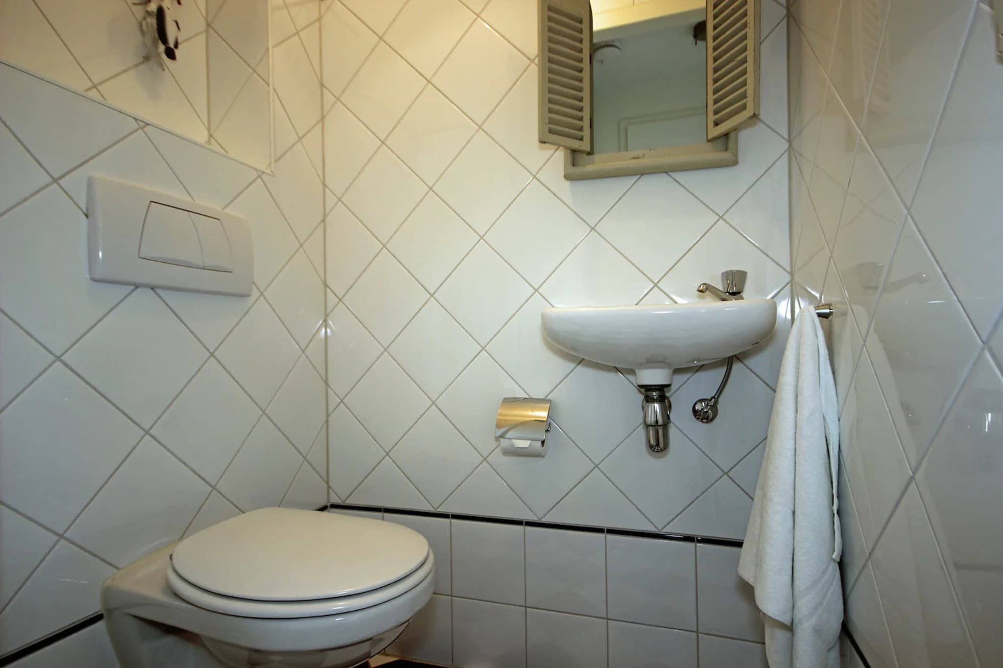 5-person luxury holiday villa on Texel - Badkamer
