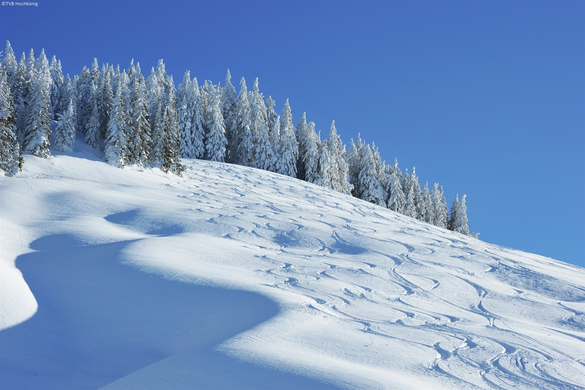 Apartment Ahorn - Area within 1km in winter