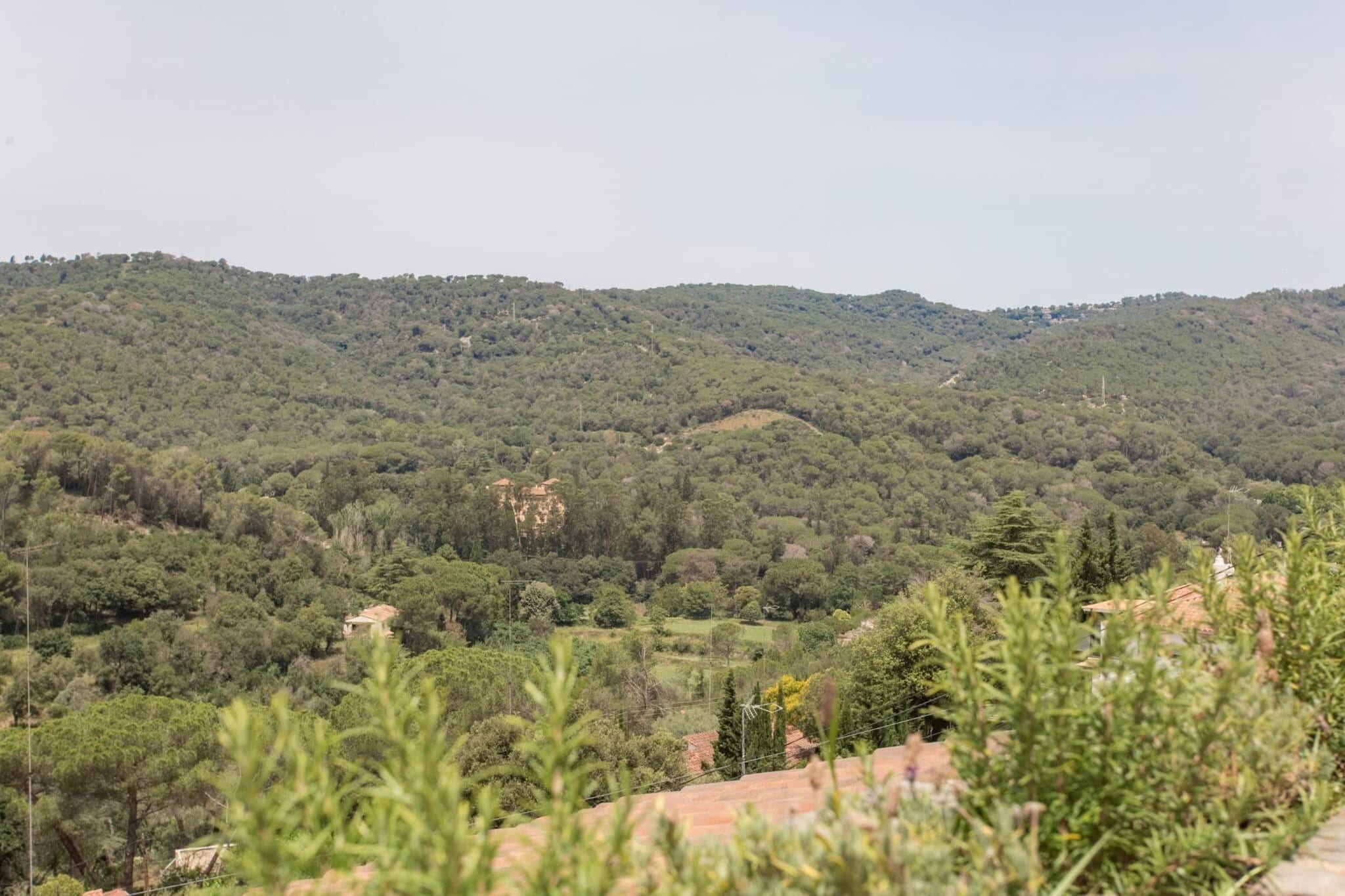 Spanish Oasis - Gebieden zomer 1km