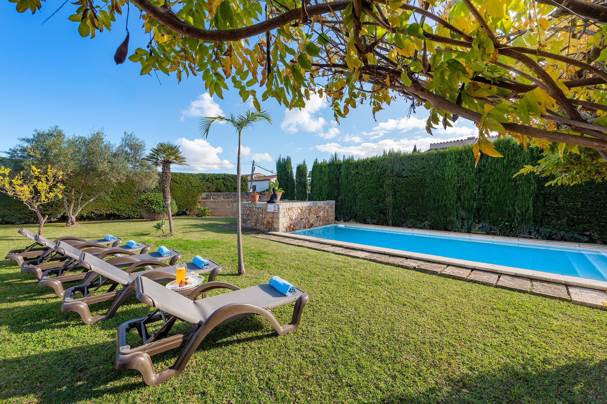 MARONJA ref: VP31 - Swimming pool