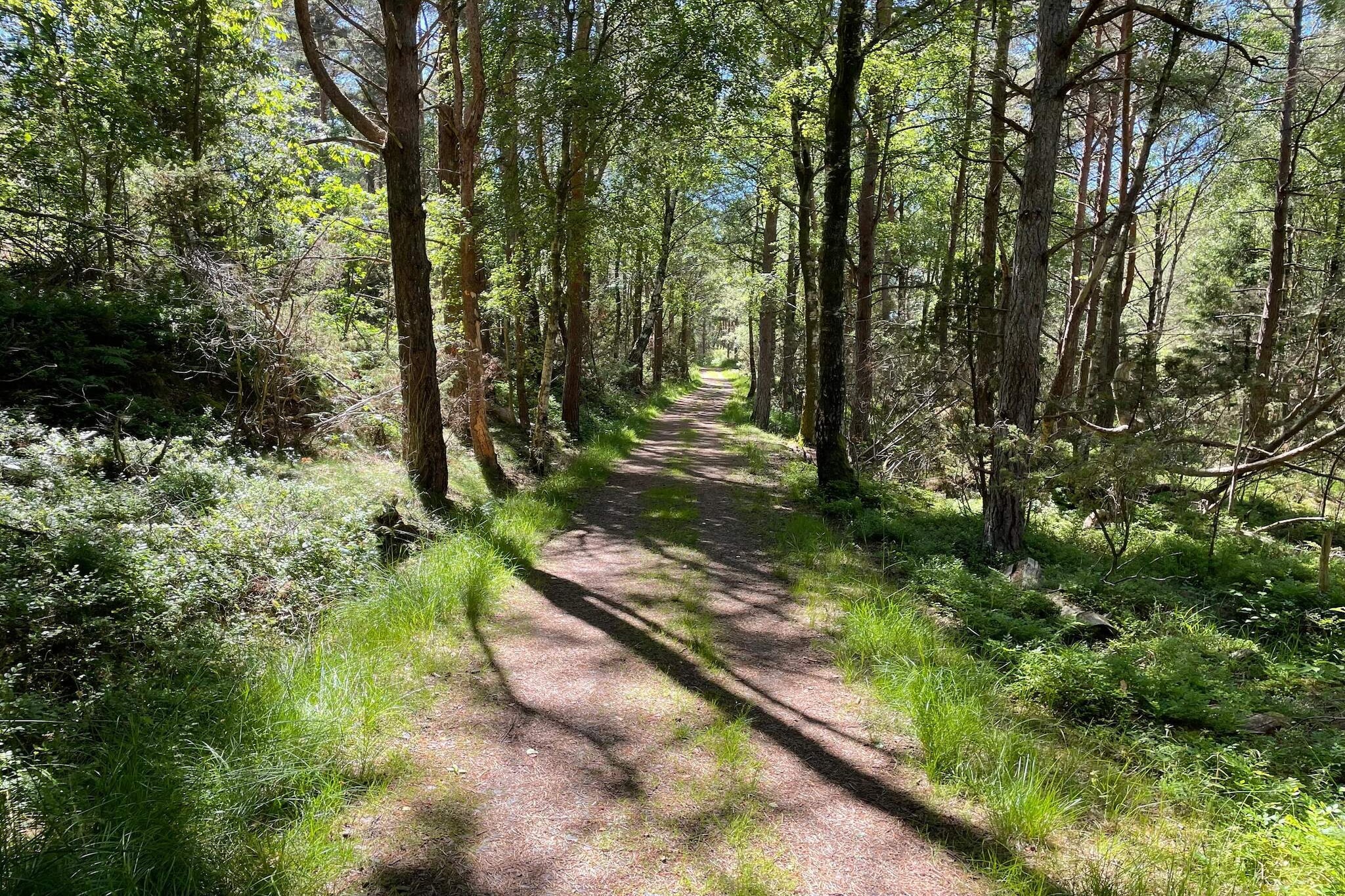 4 sterren vakantie huis in ONSALA - Buitenlucht