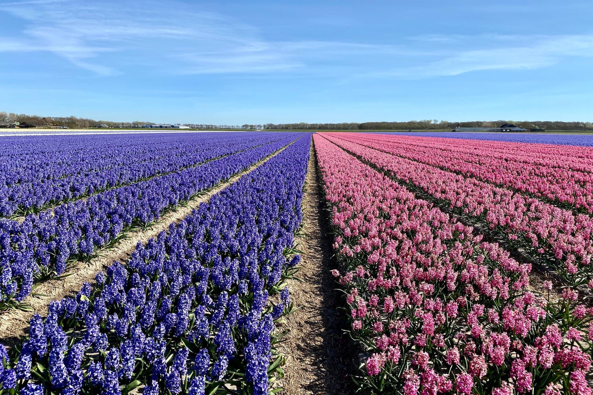 Vakantiehuisje Vloed - Zones été à 5 km